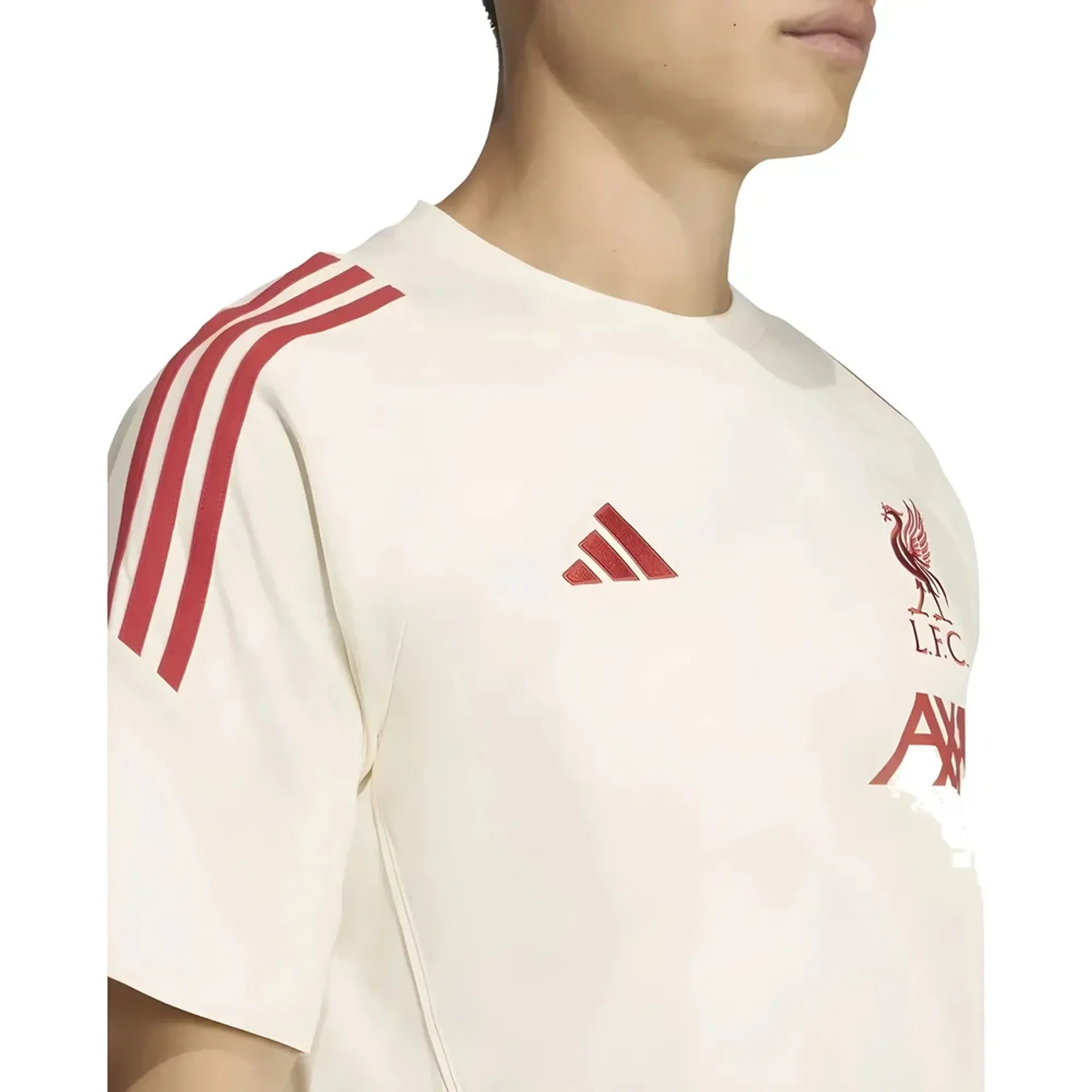 2025-2026 Liverpool Training Tee (White)