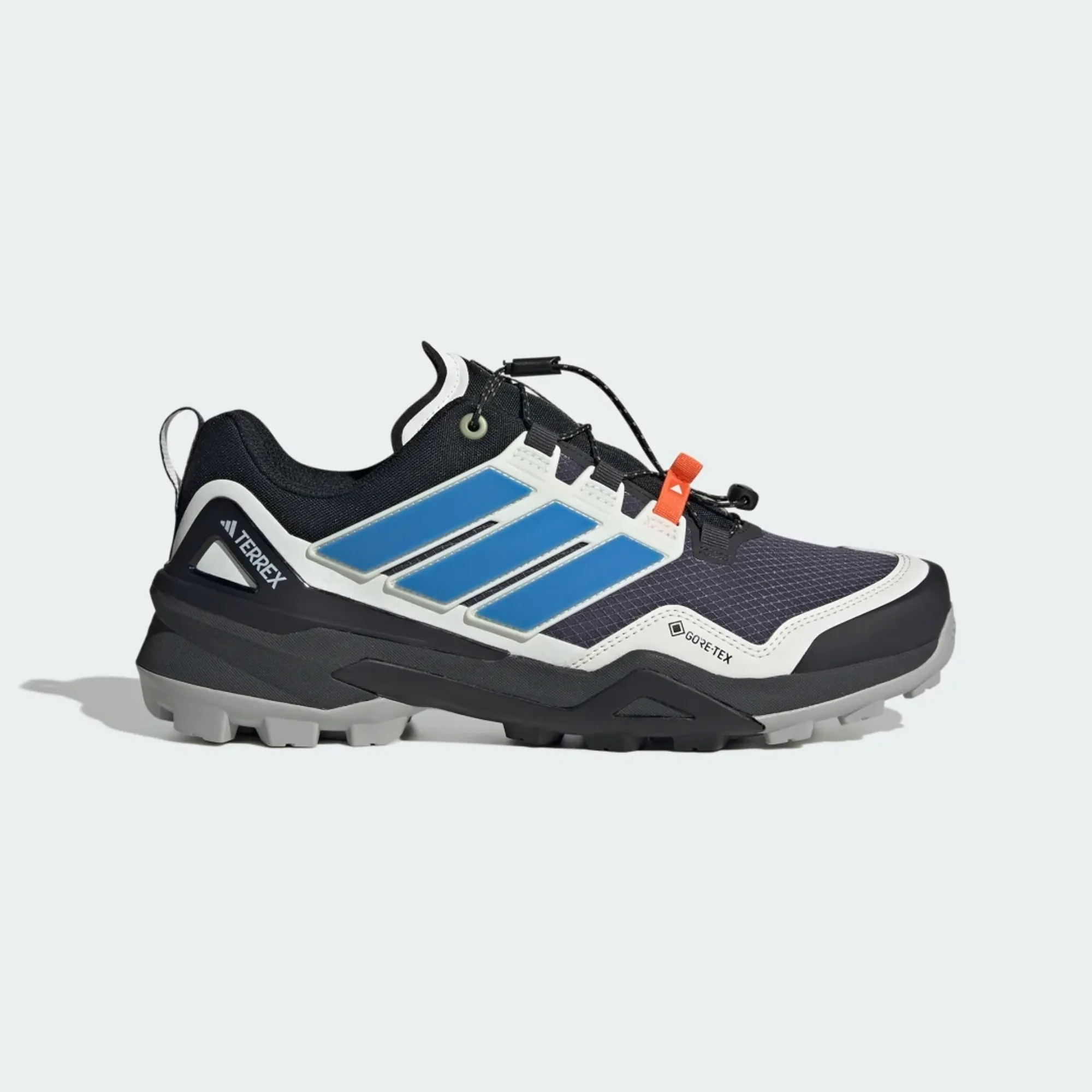 adidas Terrex Skychaser GORE-TEX Hiking Shoes