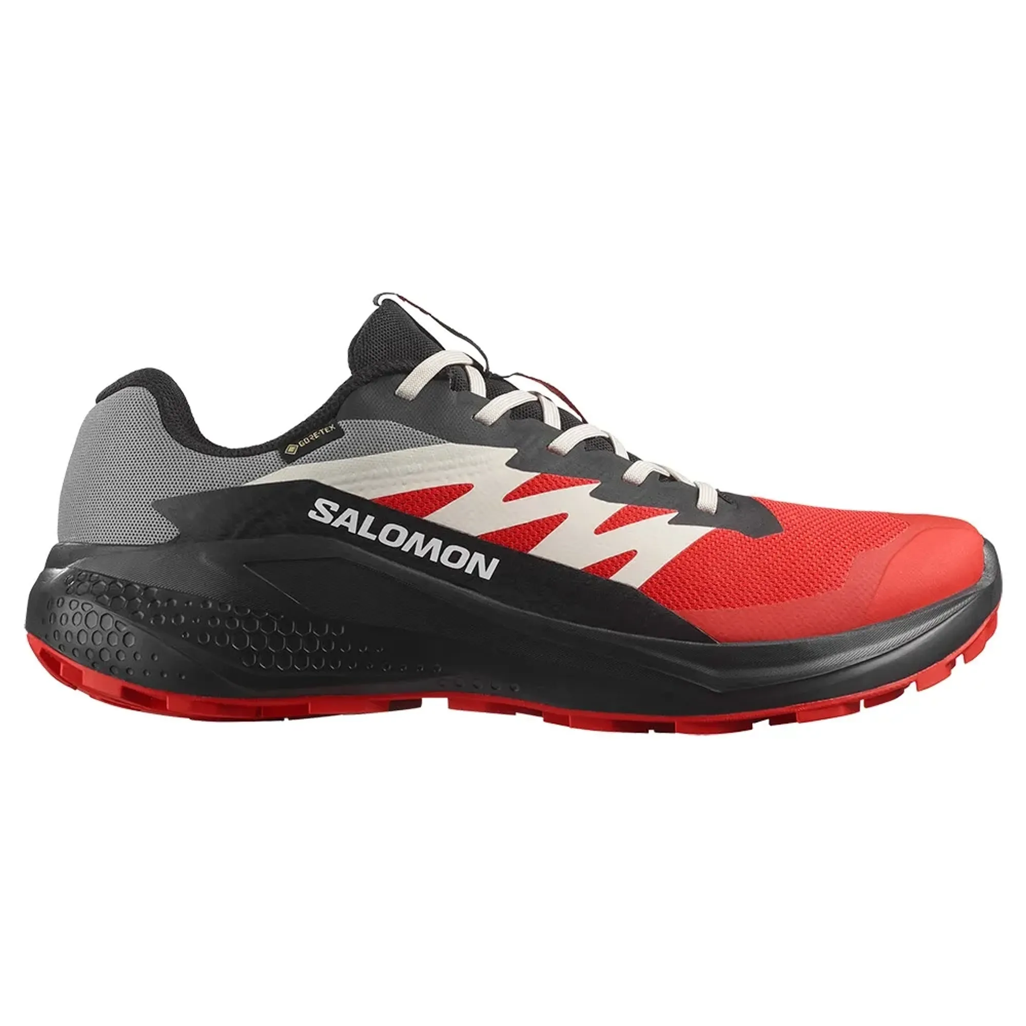 Salomon Alphaglide Goretex Trail Running Shoes