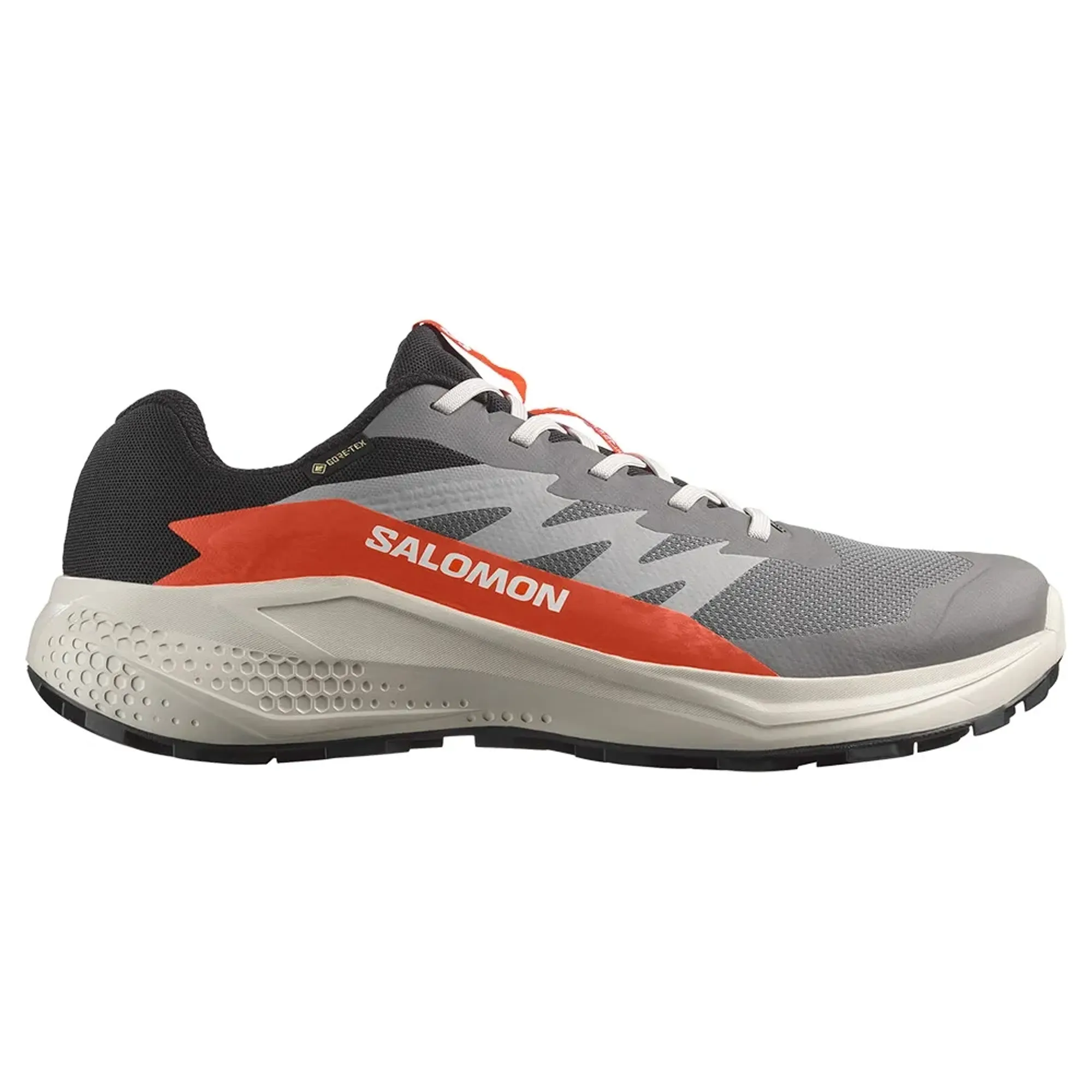 Salomon Alphaglide Goretex Trail Running Shoes