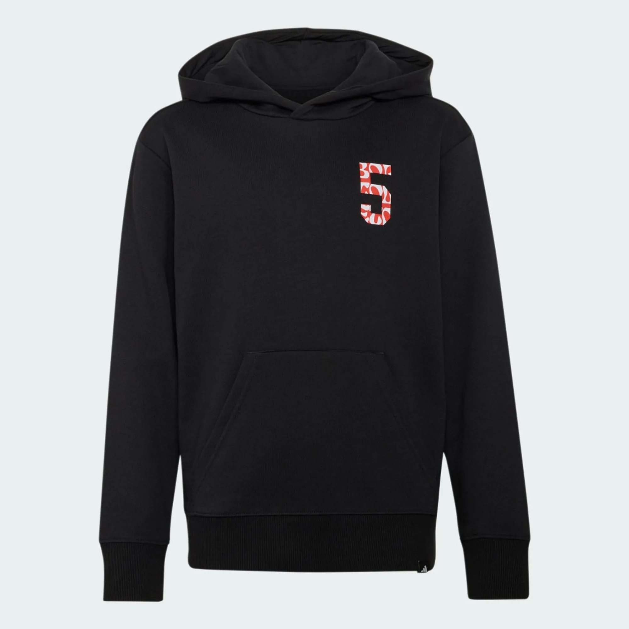 adidas AUDI GABRIEL BORTOLETO GRAPHIC II HOODIE YOUTH Sweatshirt