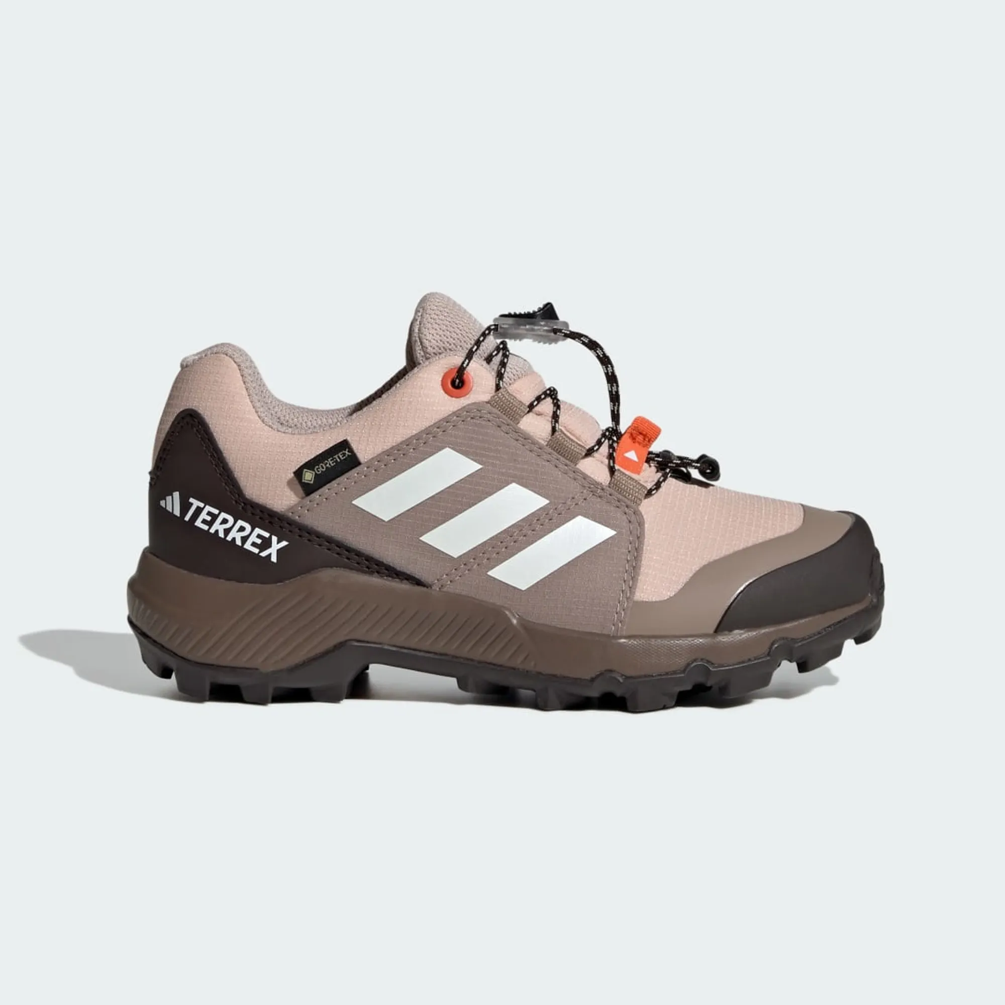 adidas Terrex GORE-TEX Hiking Shoes