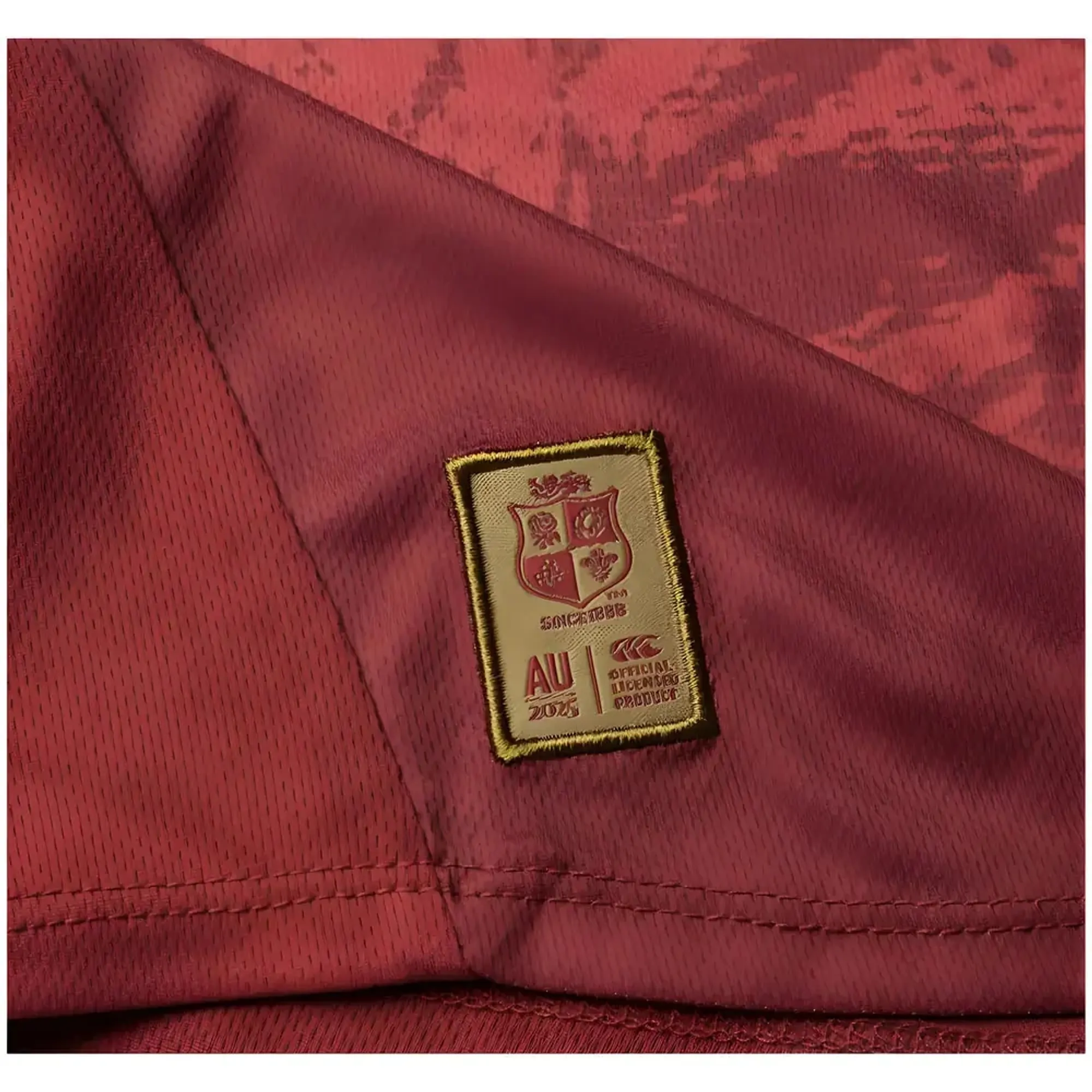 2024-2025 British and Irish Lions Poly Singlet (Red)