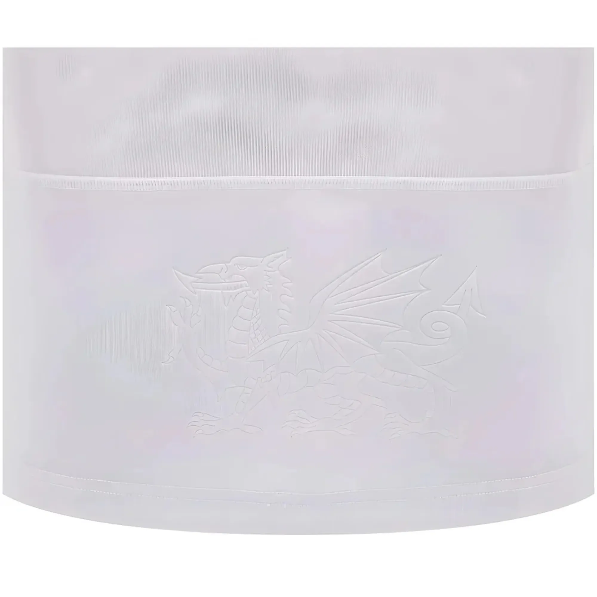 2024-2025 Wales WRU Away Cotton Rugby Shirt