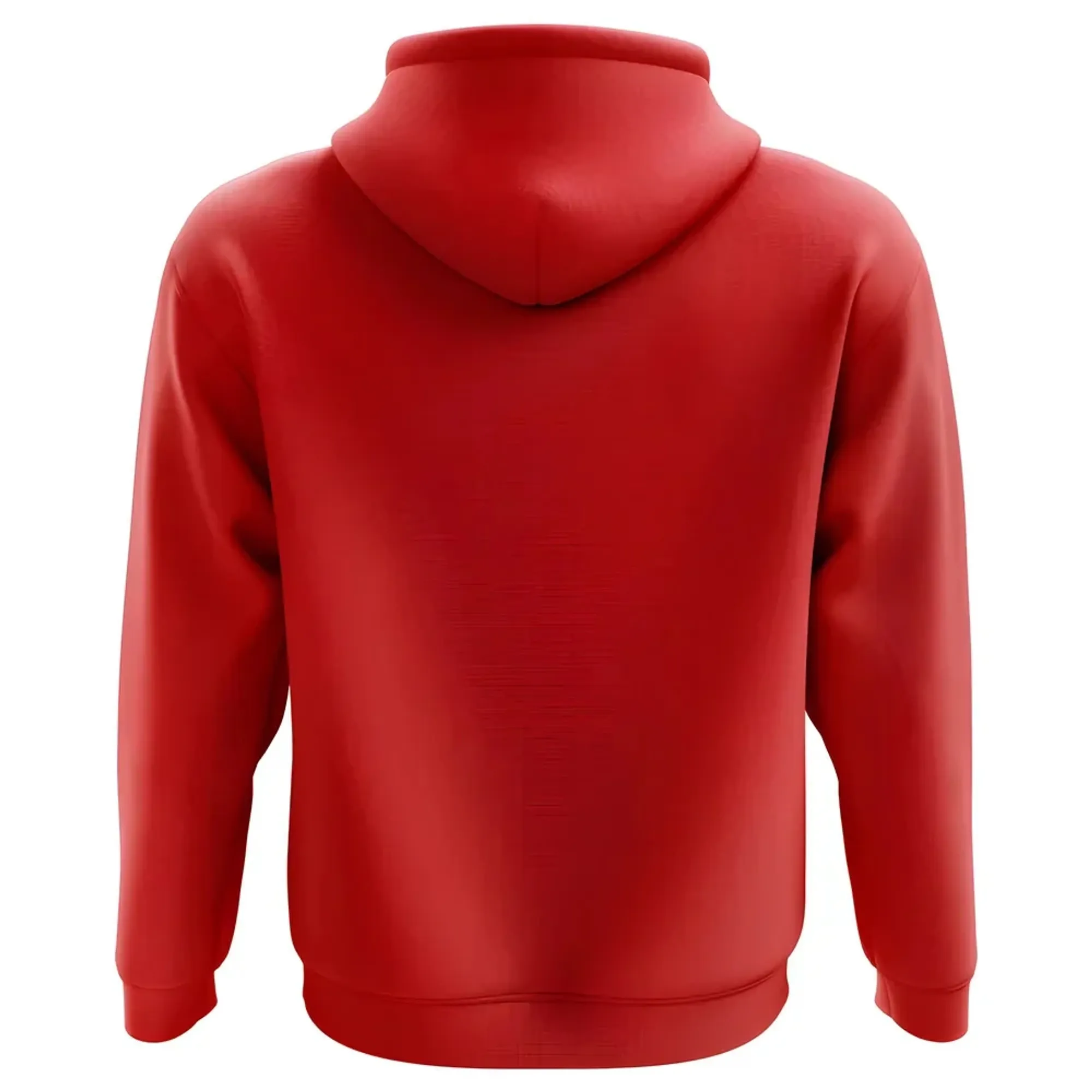 2025-2026 Denmark Home Concept Hoody