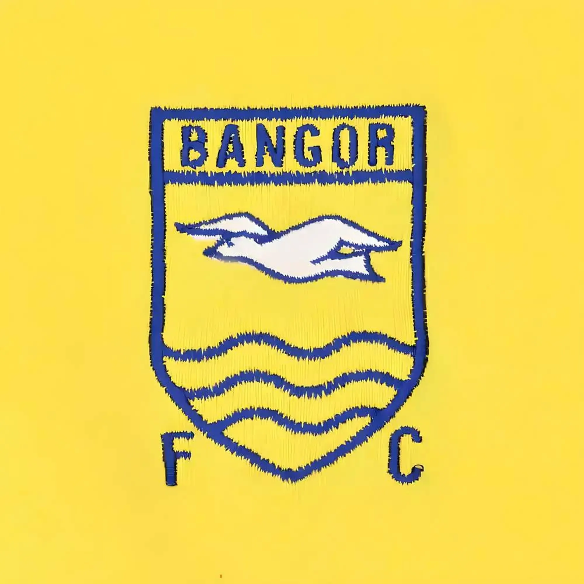 Manchester City 12th Man Retro T-Shirt- Ringer