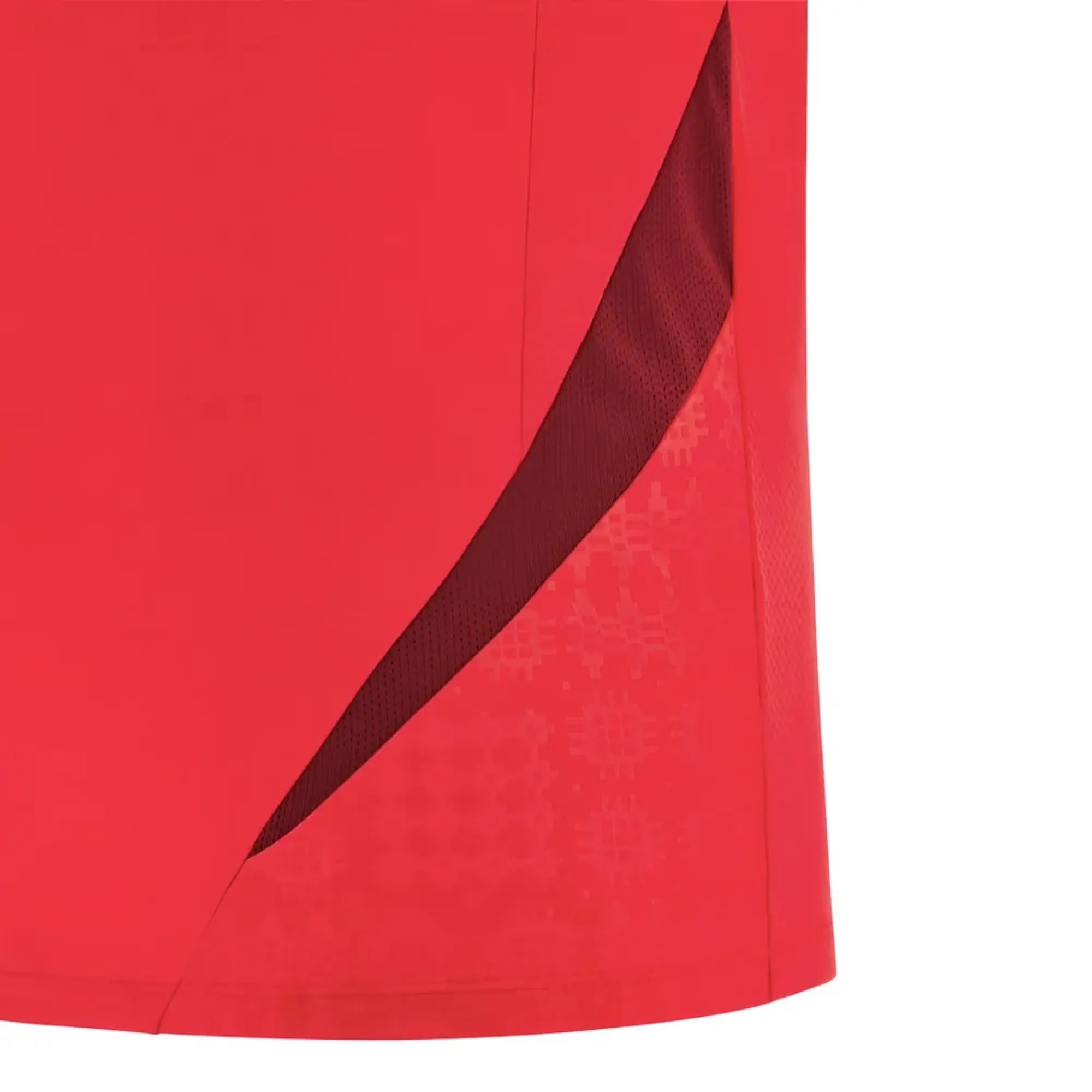 2025-2026 Wales Rugby Training Sleeveless Shirt (Red)