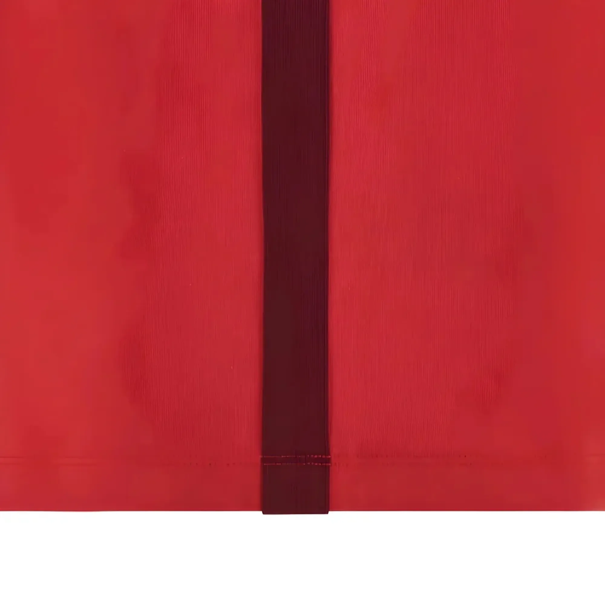 2025-2026 Wales WRU Travel Cotton Tee (Red) - Kids