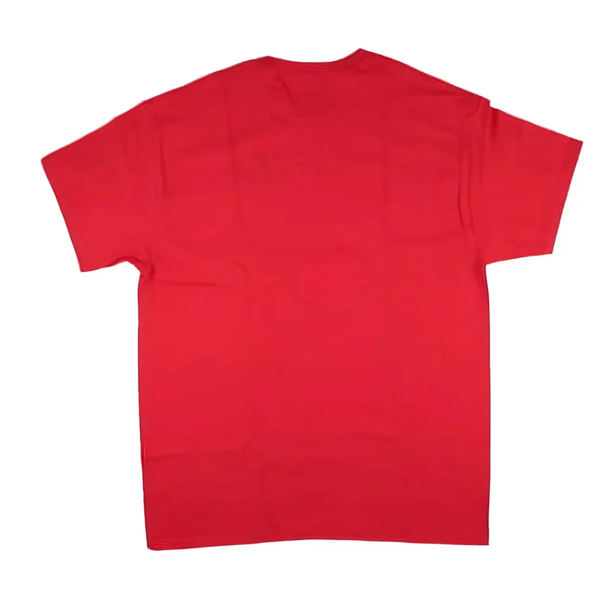 Wales Rugby Classic Printed T-Shirt (Red)
