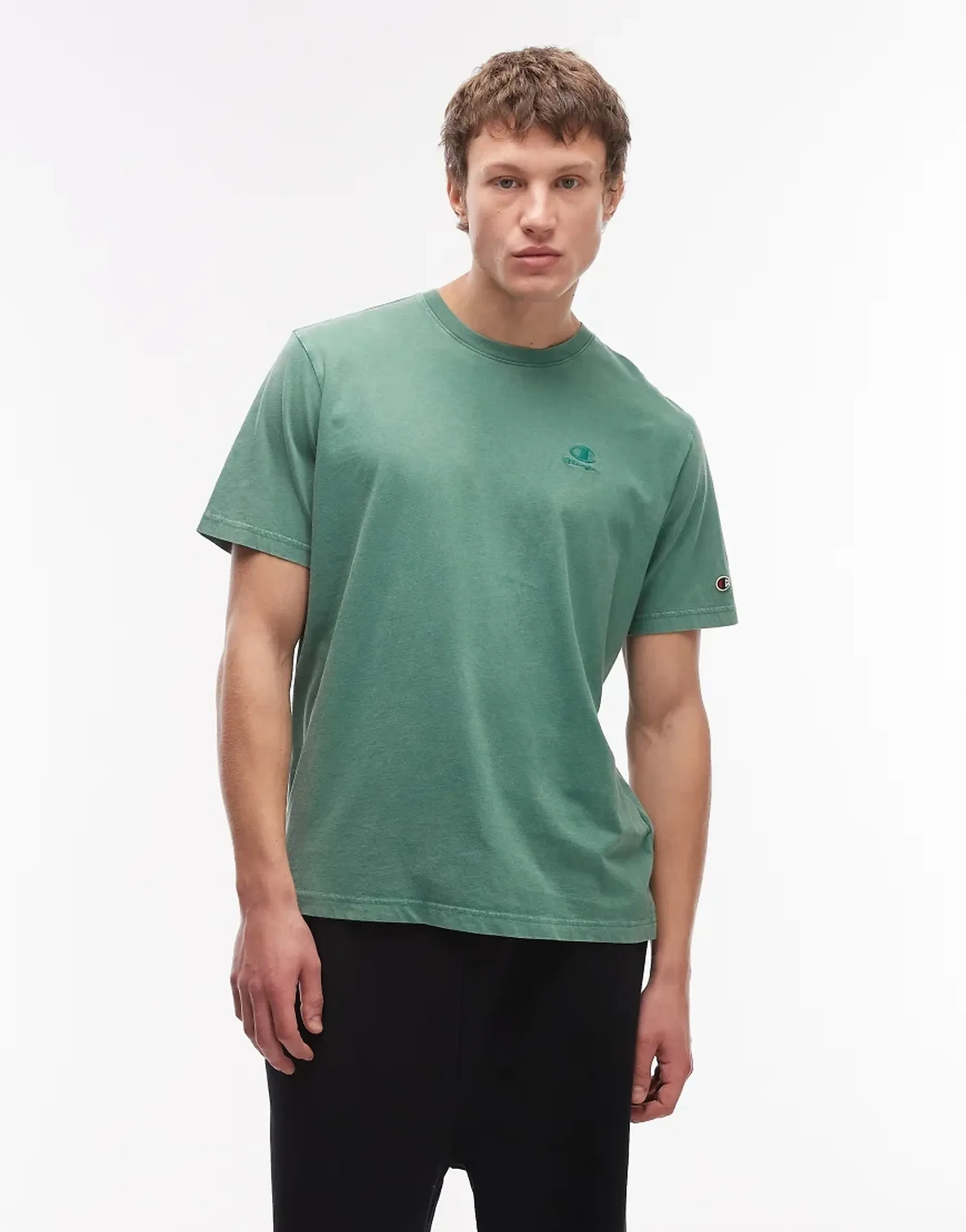 Champion Icons T-Shirt In Washed Green