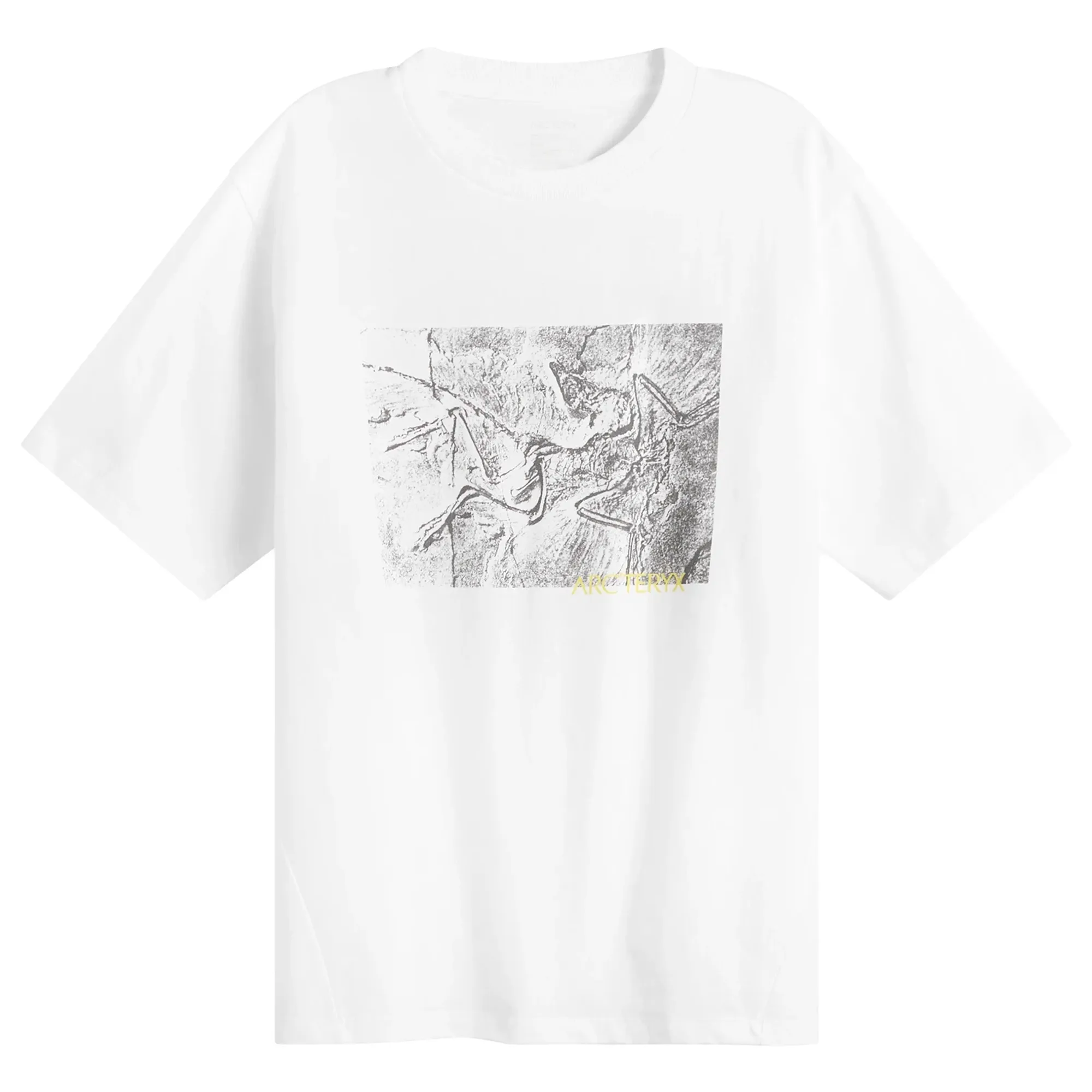 Arc'teryx Men's Kragg Cotton Lithographica T-Shirt White Light