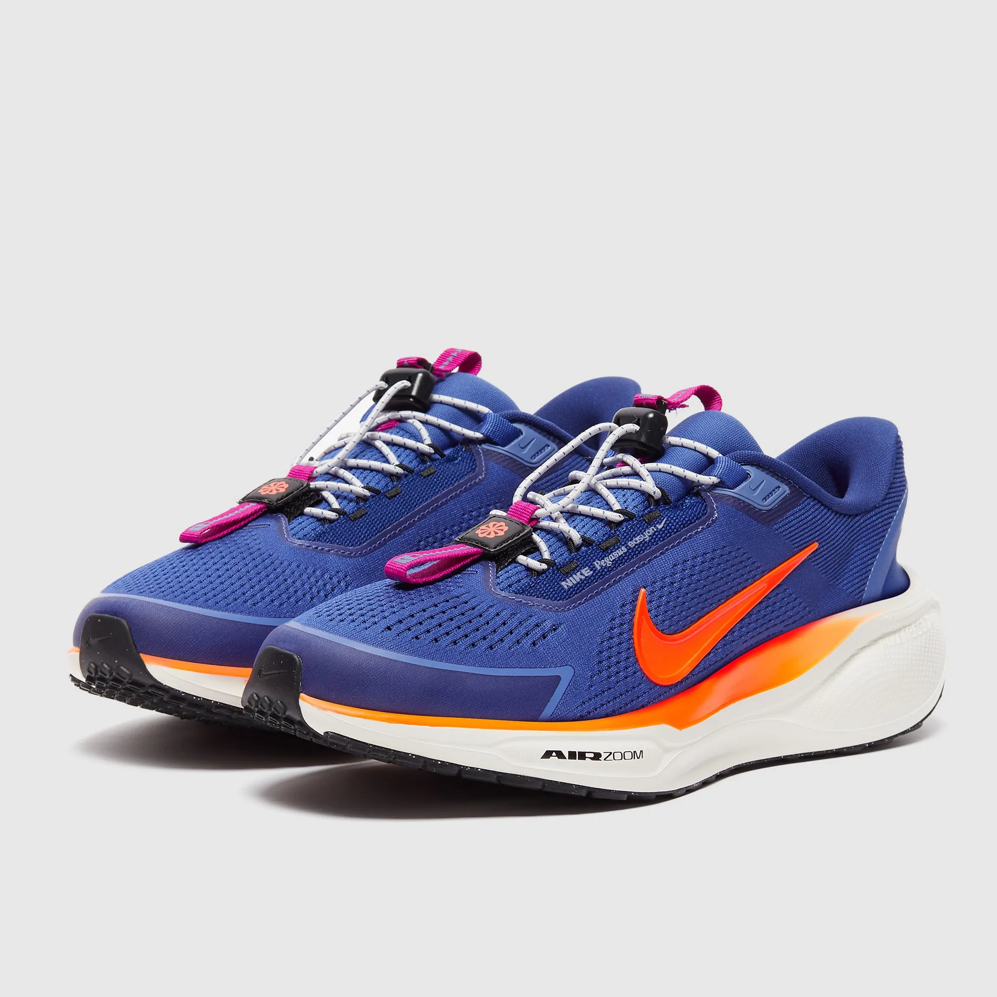 Nike Pegasus Easyon