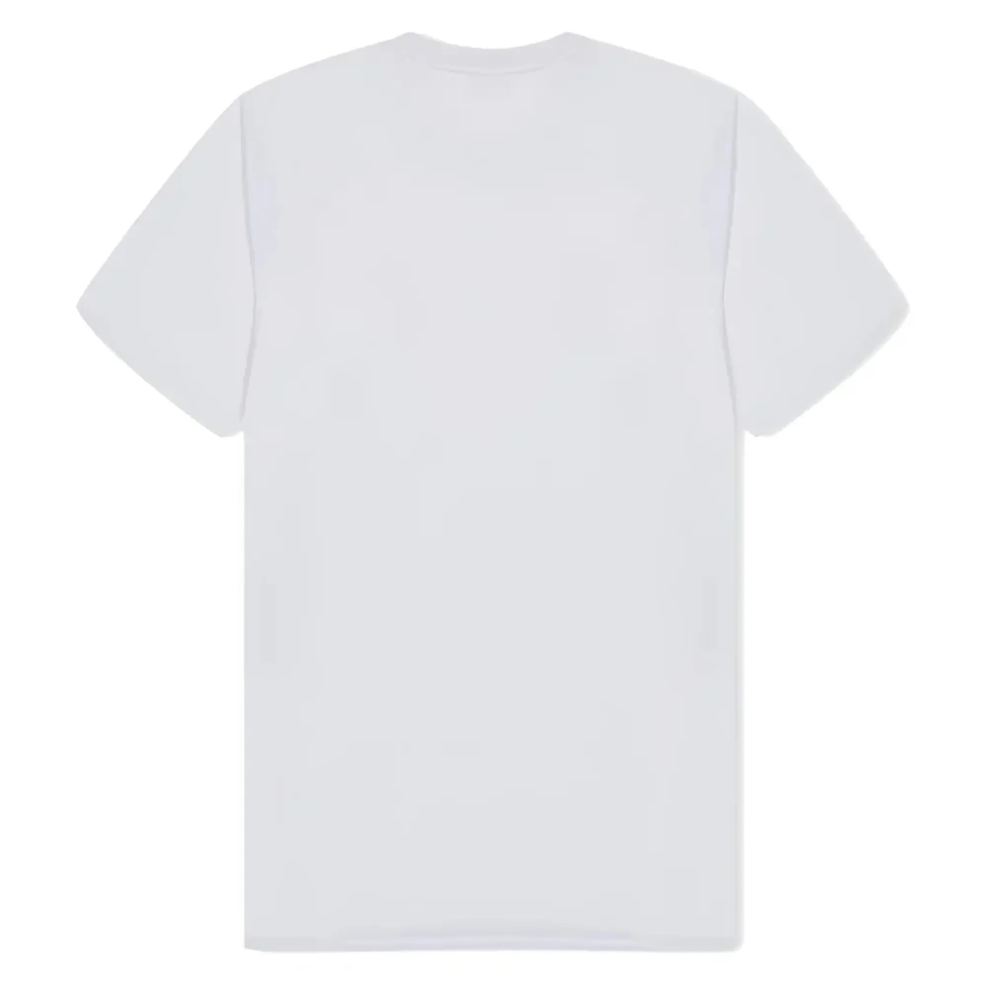 Tottenham Hotspur Poly T-shirt (White)