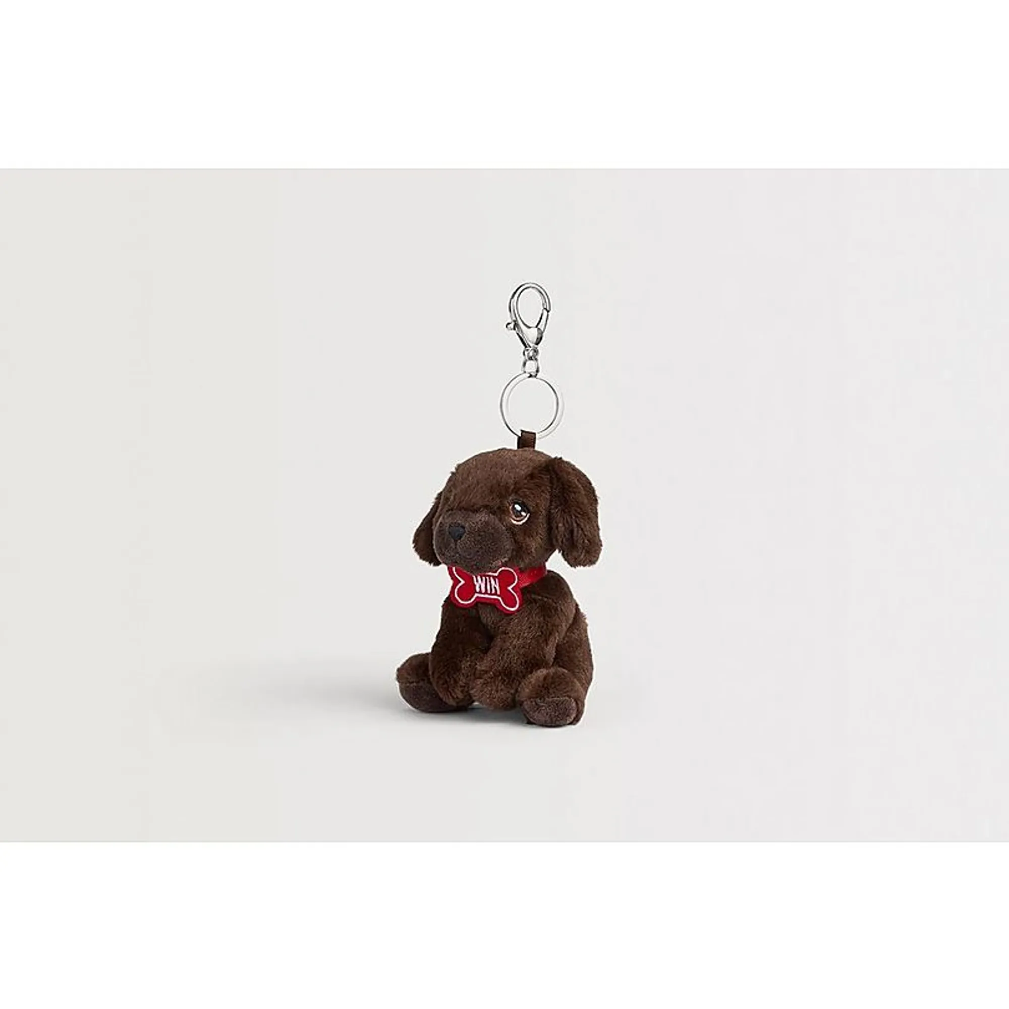 Arsenal Win Bag Buddy, Multicolor