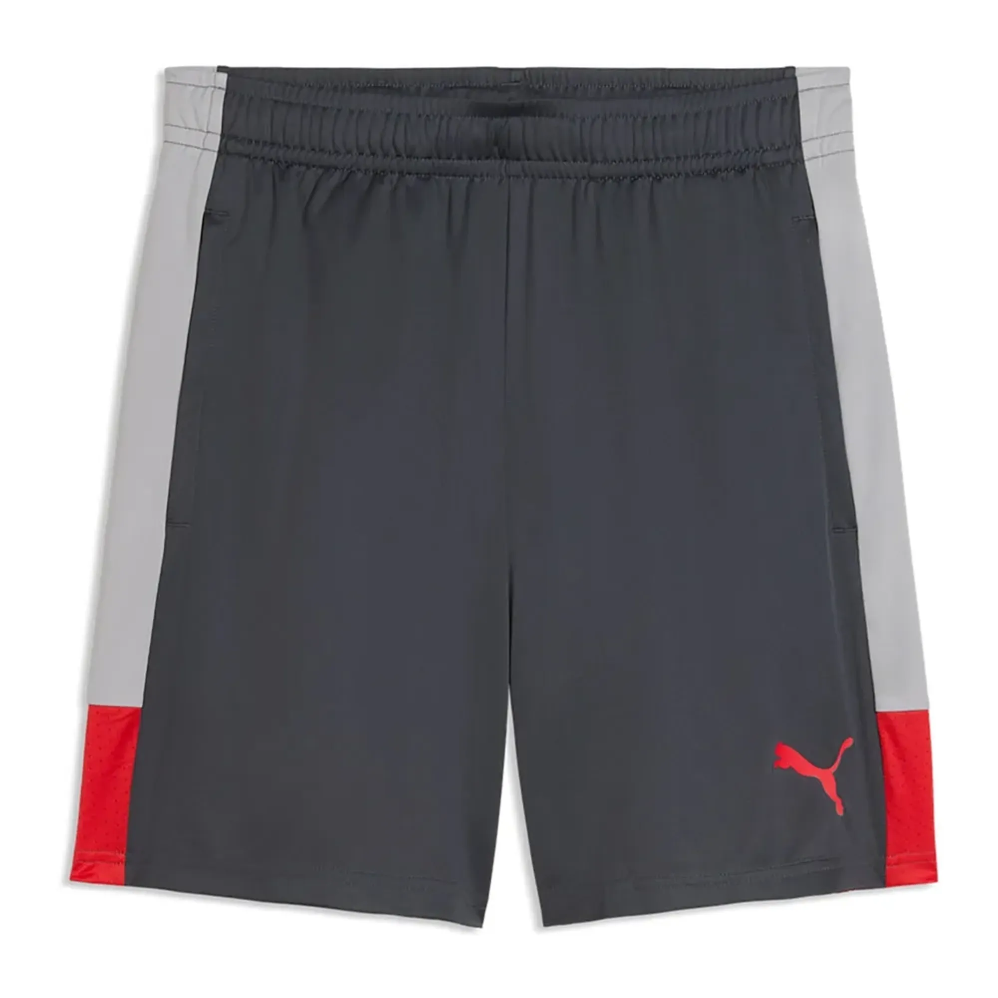 Puma Individualliga Shorts