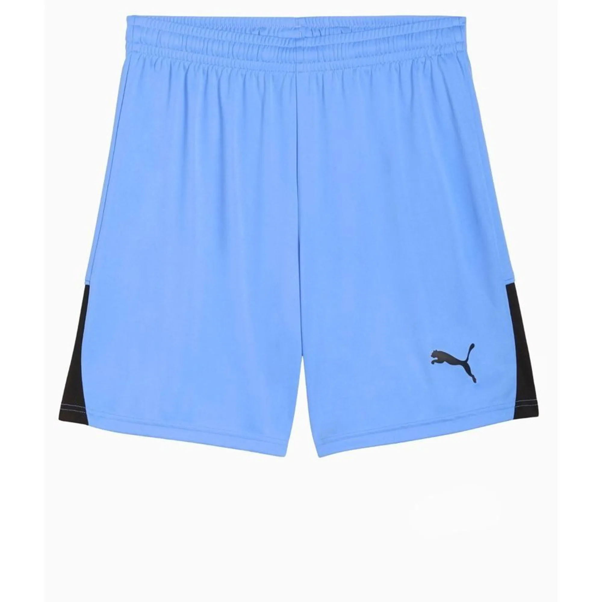Teamliga26 Shorts Blue Glimmer-Puma Black-Puma Black - ['Blue']