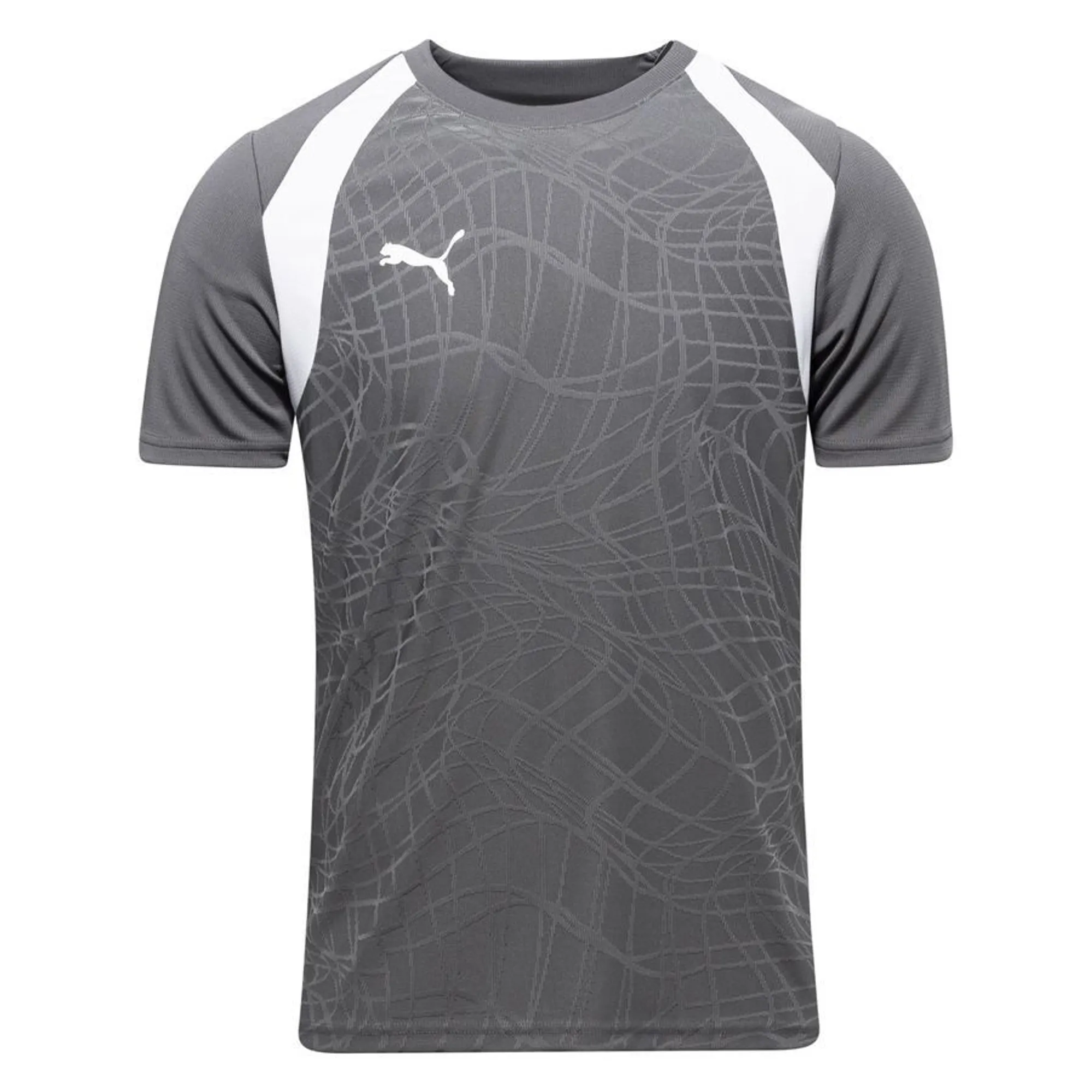 Puma Training T-Shirt Teamfinal26 - ['Grey']
