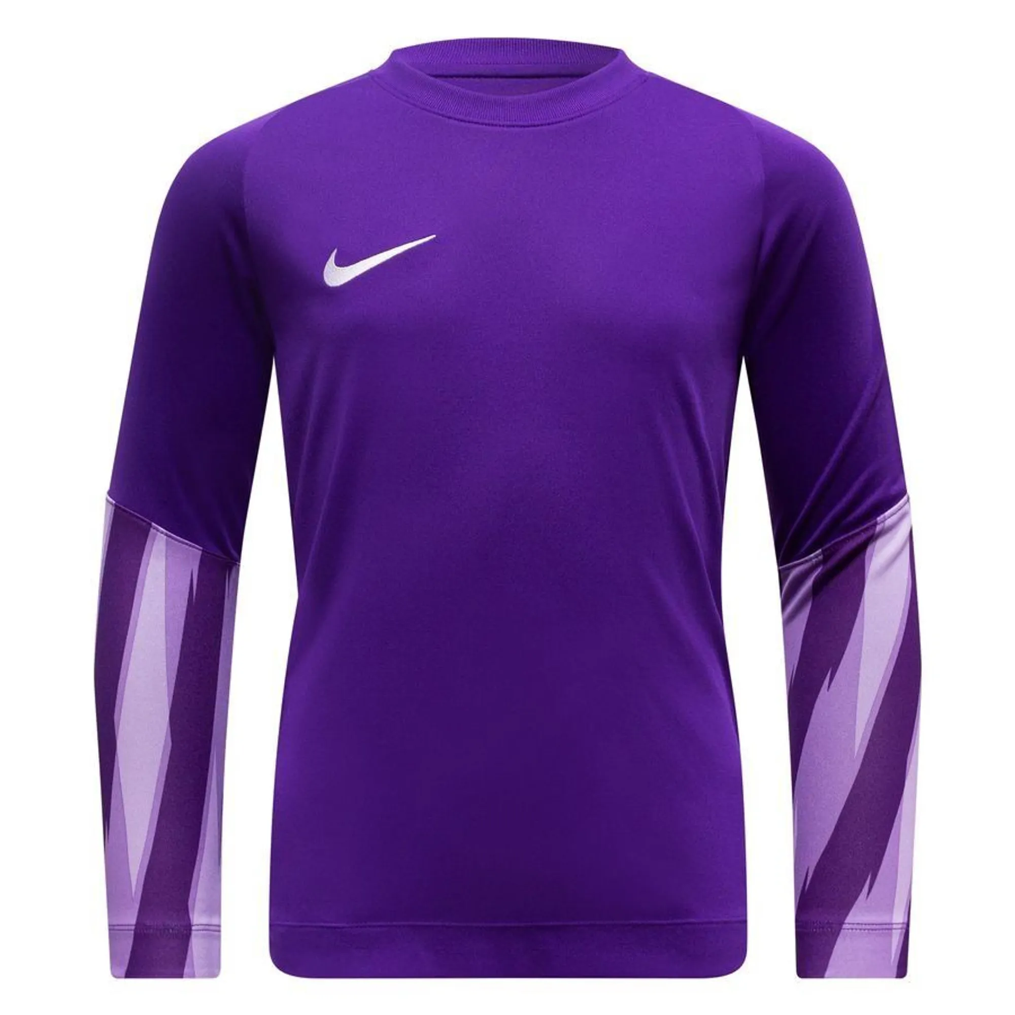 Nike Park V LS GK Shirt