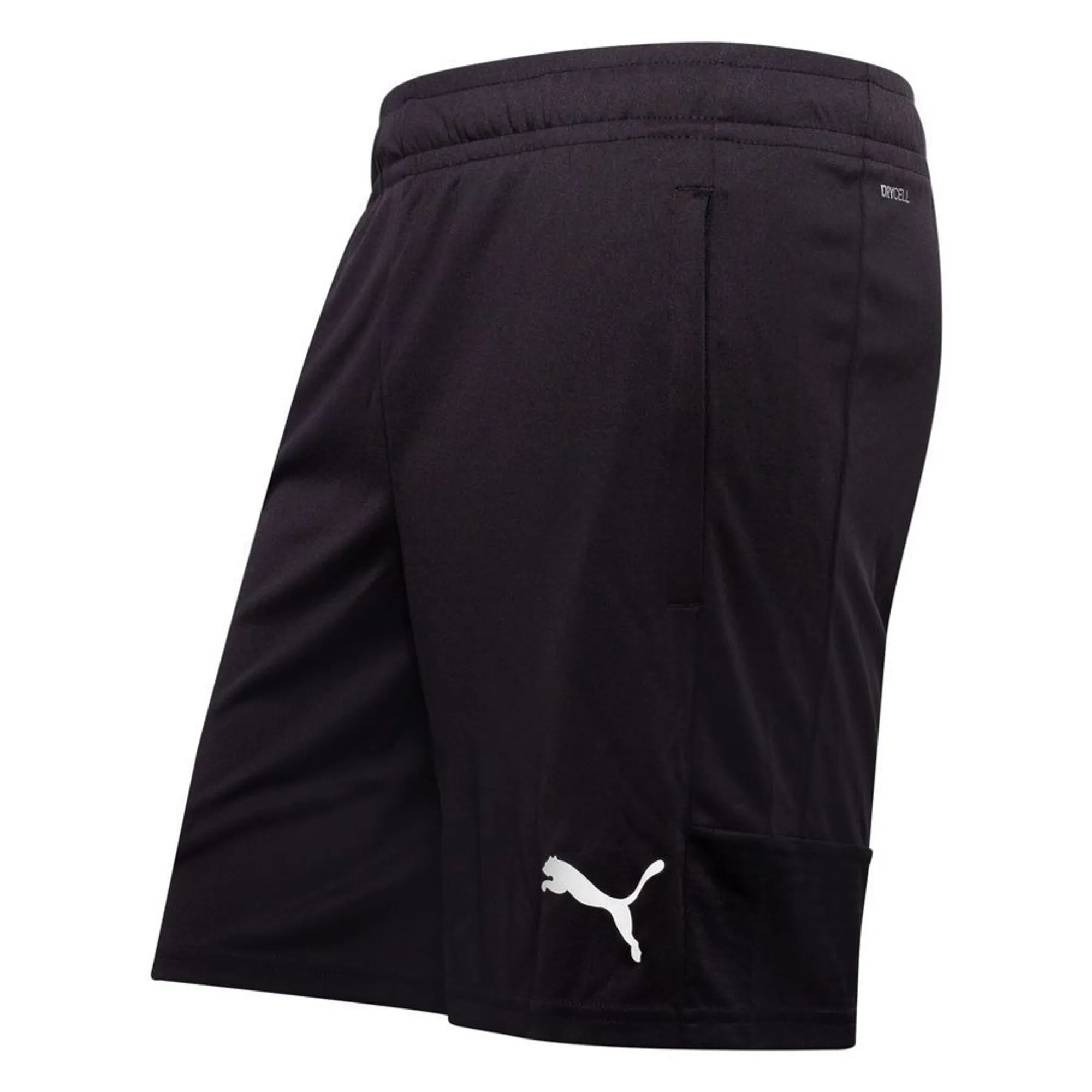 Puma Training Shorts Teamliga - ['Black']