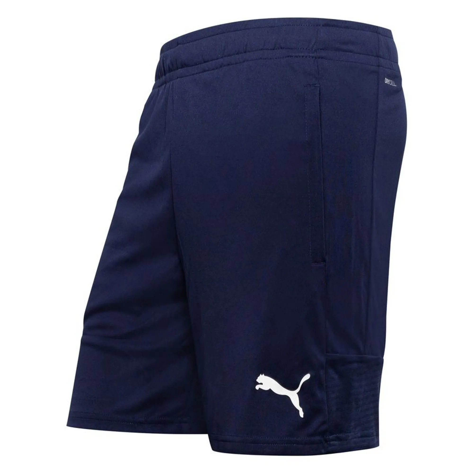 Puma Training Shorts Teamliga - ['Black']