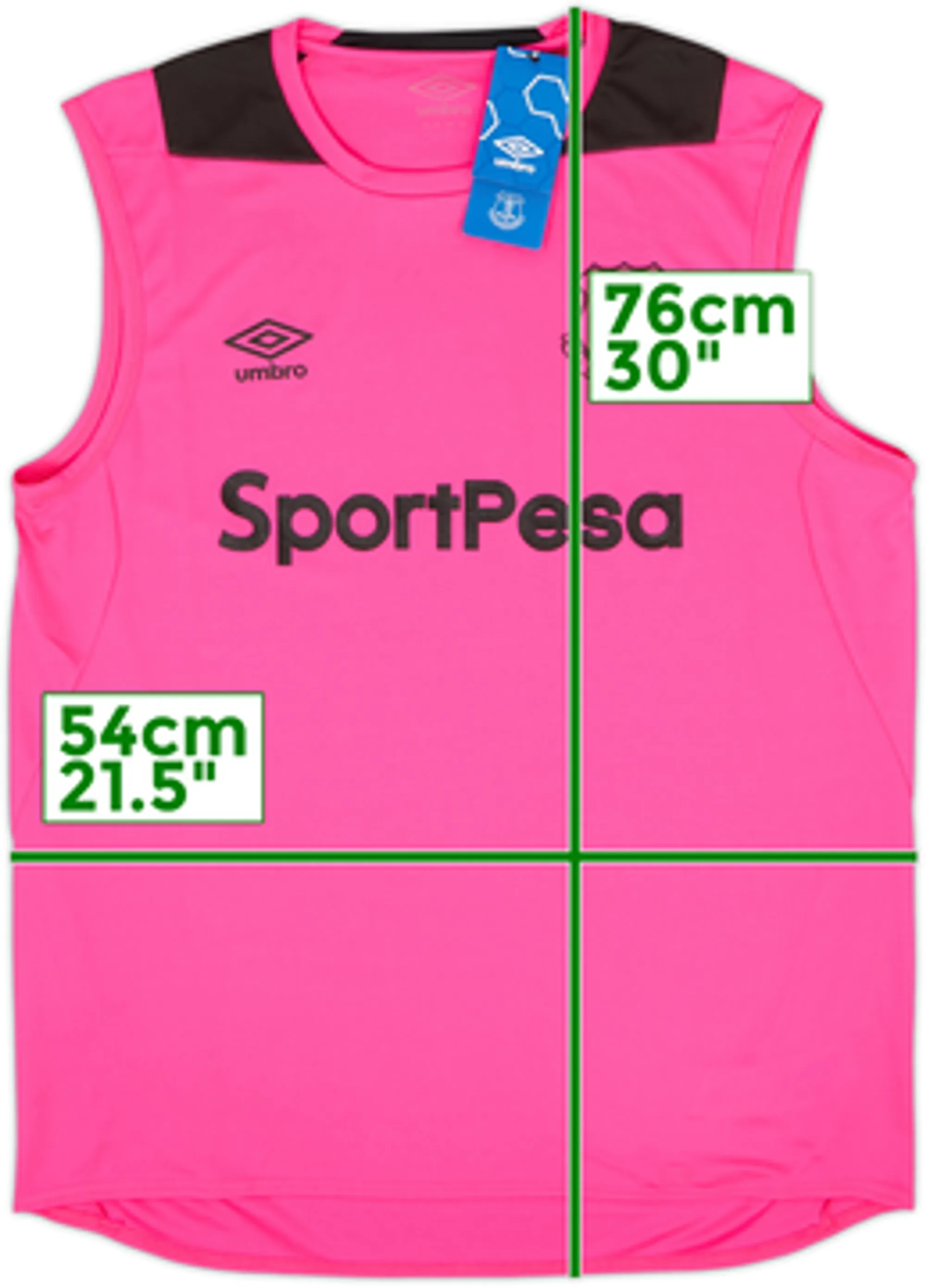 2018-19 Everton Umbro Training Vest (L)