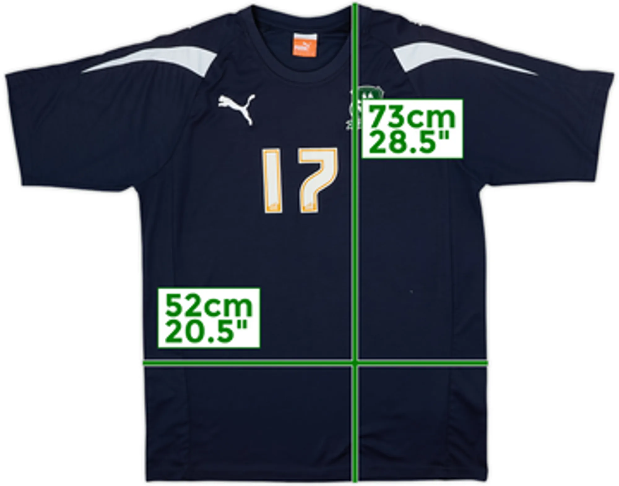 2011-12 Plymouth Argyle Player Issue Puma Training Shirt #17 - 7/10 - (L)