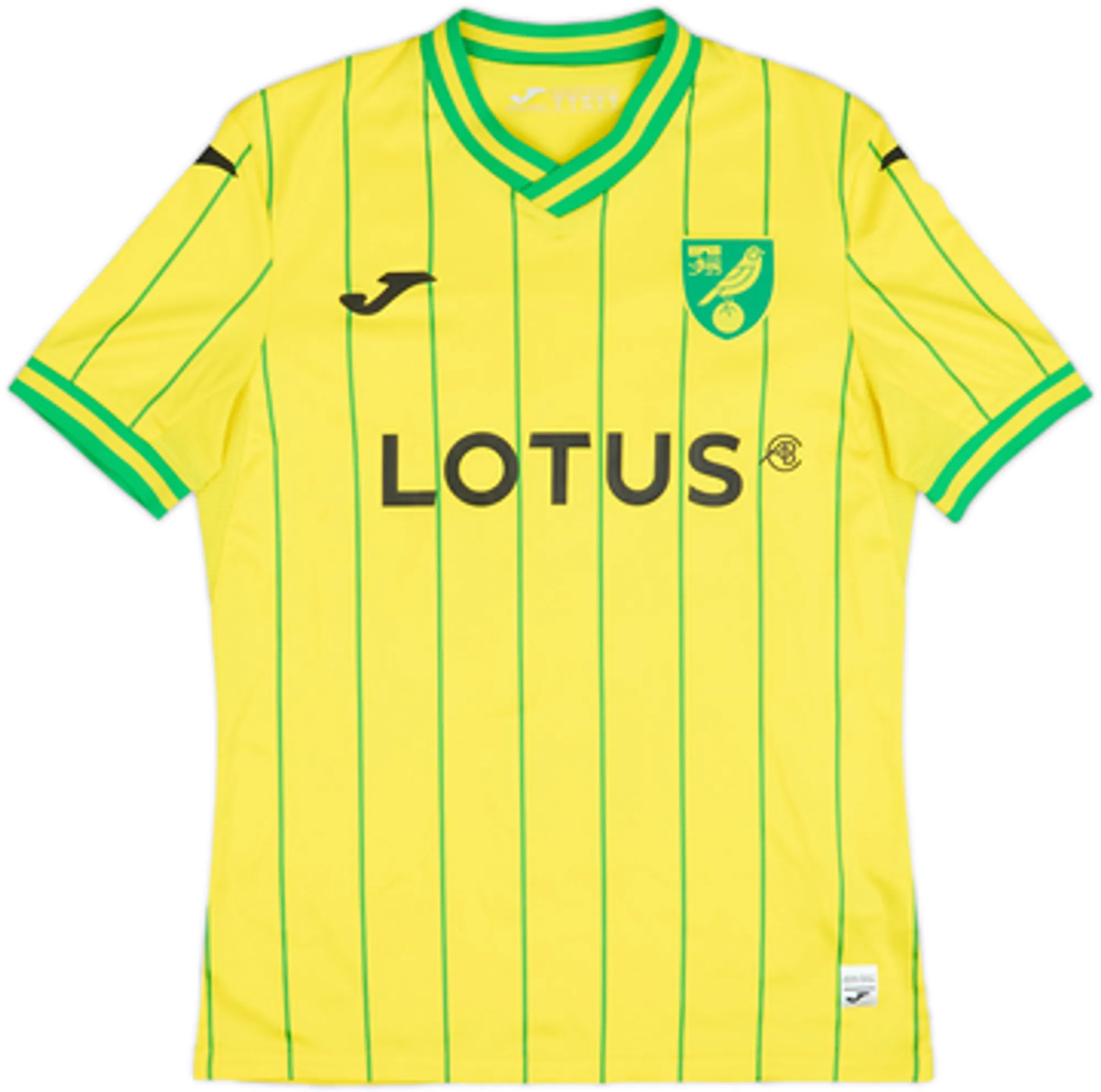 2022-23 Norwich Home Shirt Pukki #22 - 6/10 - (S)