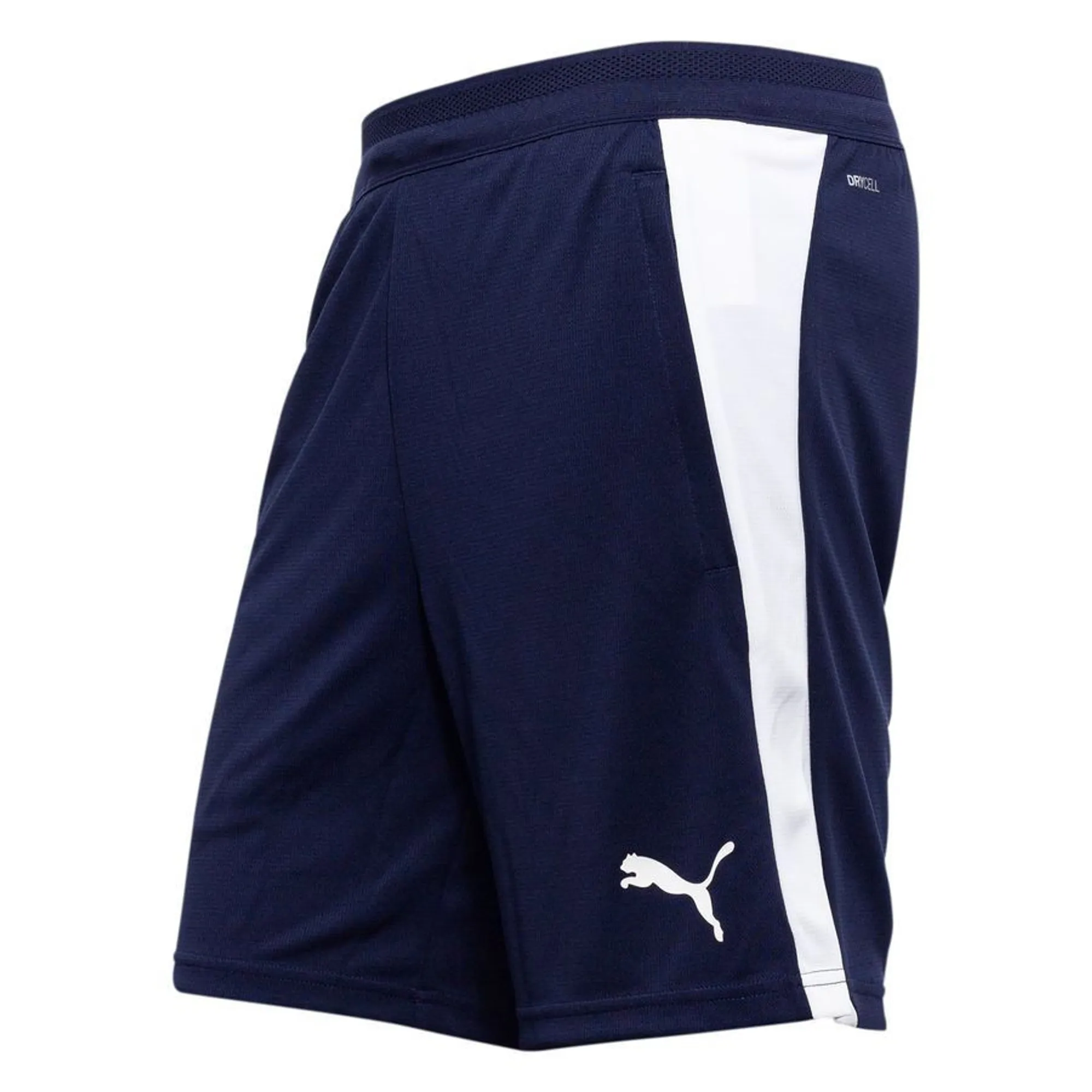 Puma Training Shorts Teamfinal 26 - ['Blue']