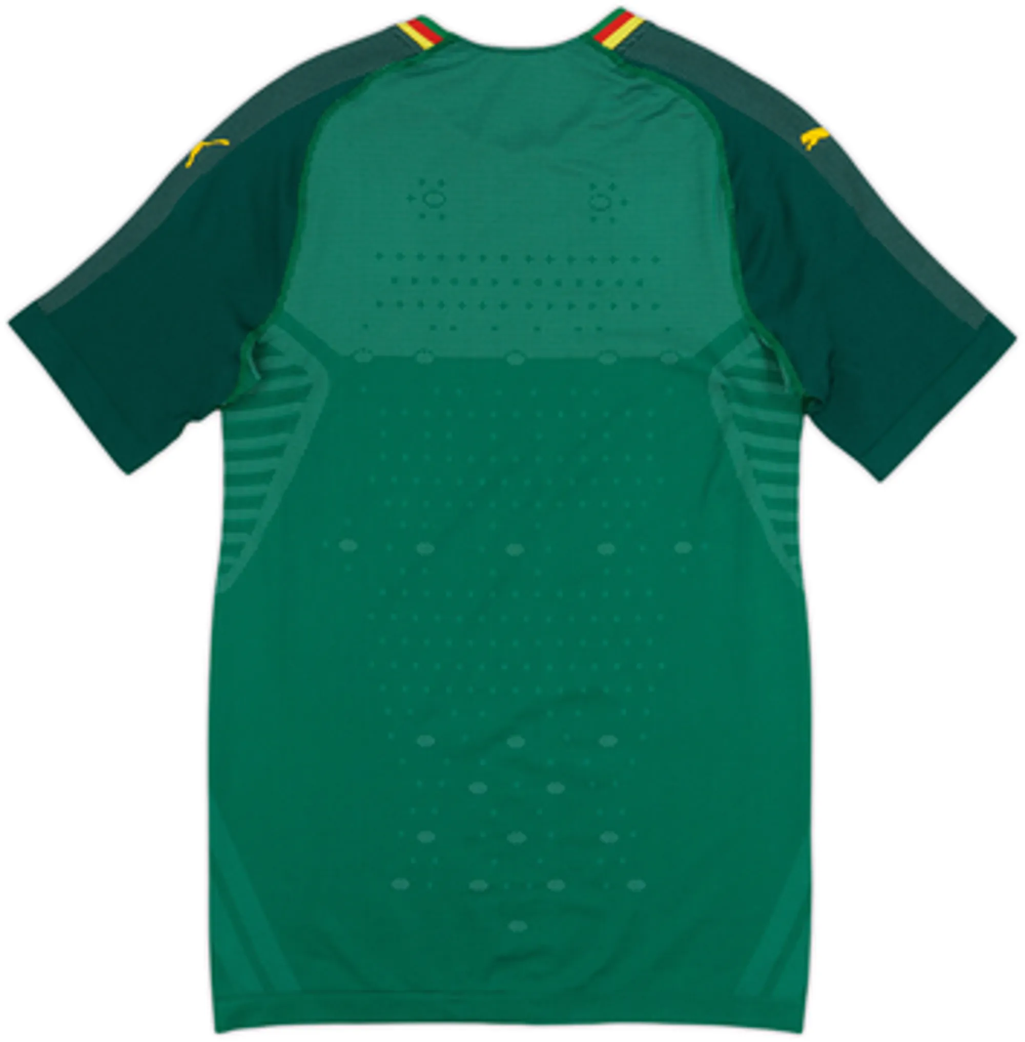 2018-19 Cameroon Authentic Home Shirt - 8/10 - (L)