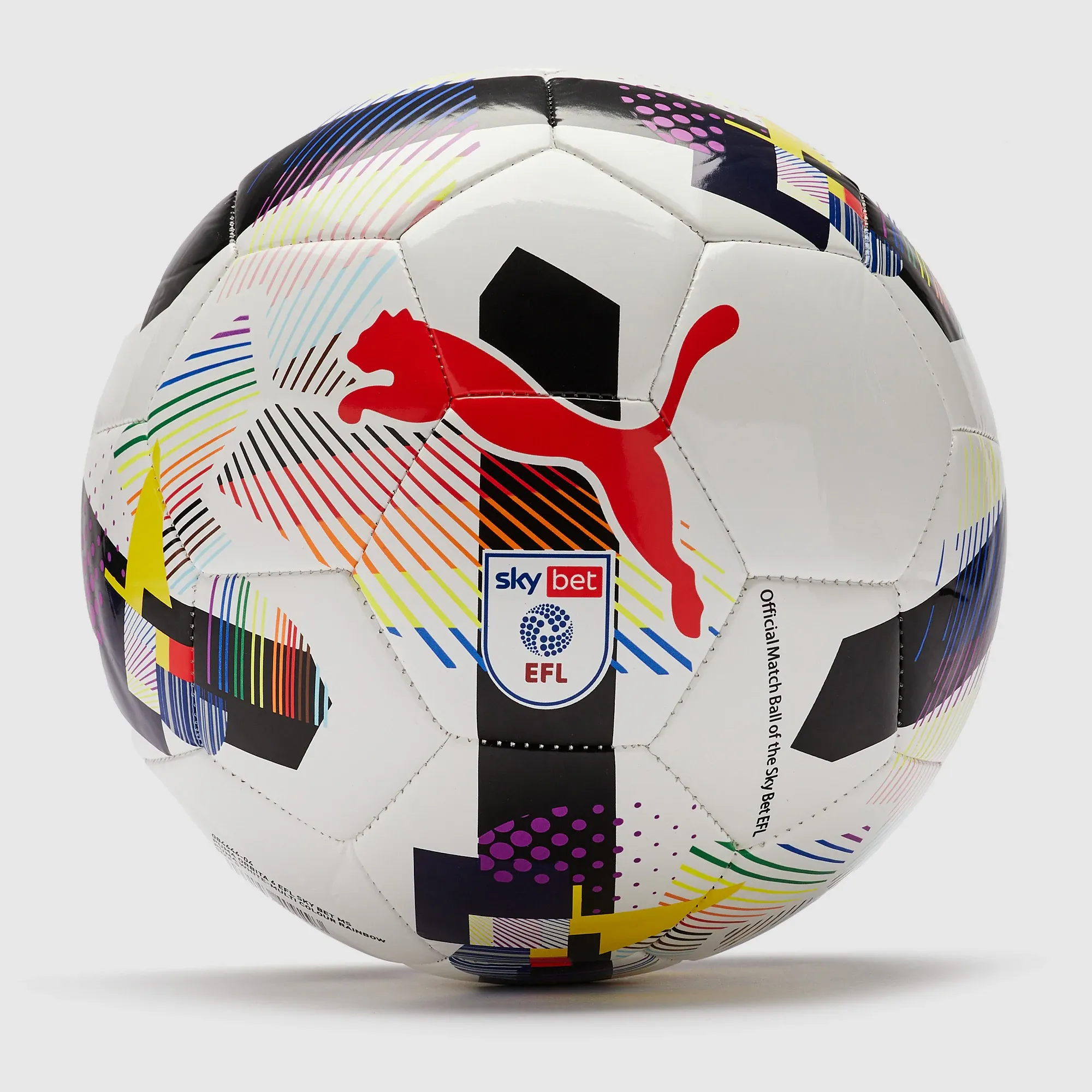 PUMA Orbita 6 EFL Sky Bet Football in White | Size 5