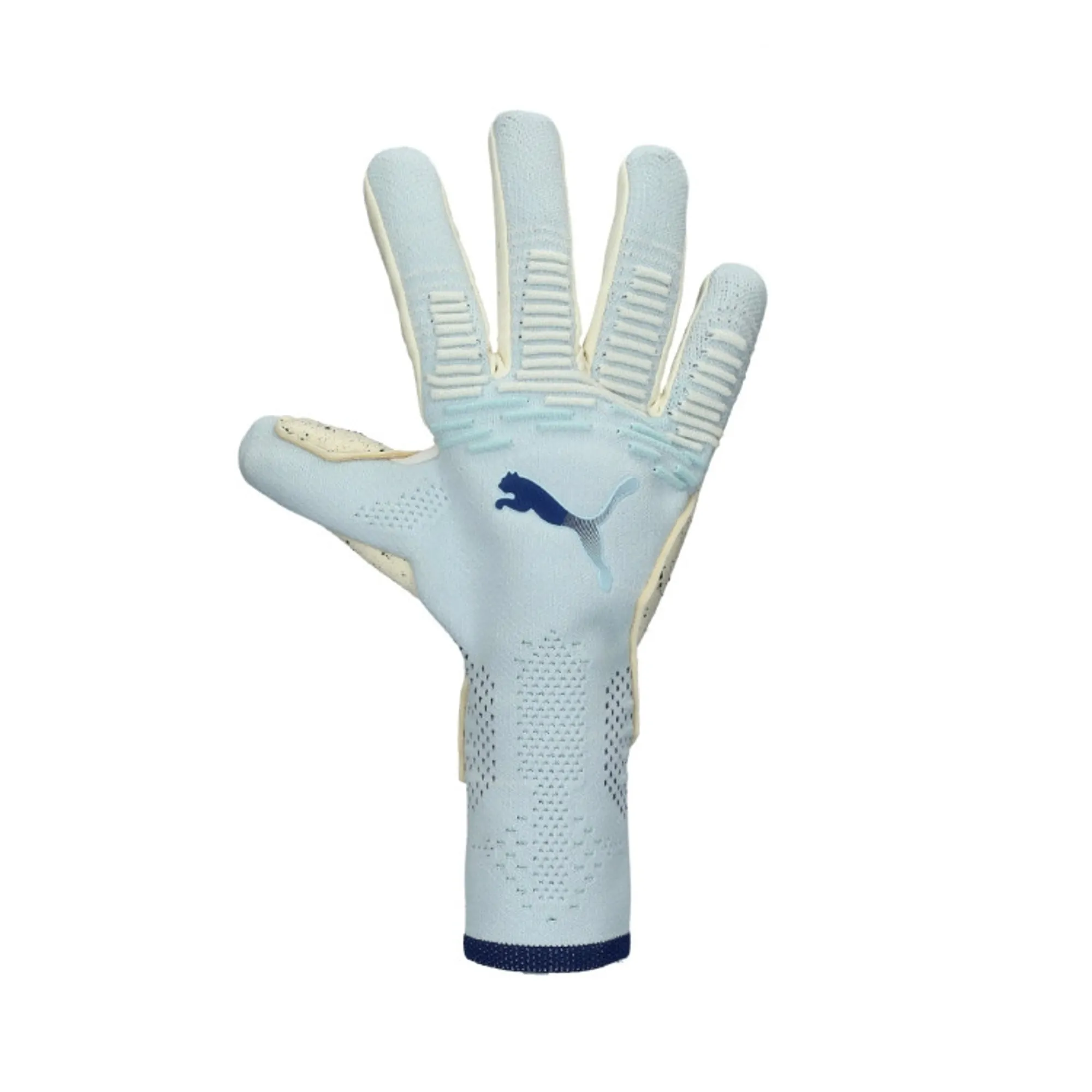 PUMA FUTURE Ultimate NC Football Goalkeeper Gloves in Blue | Size 10