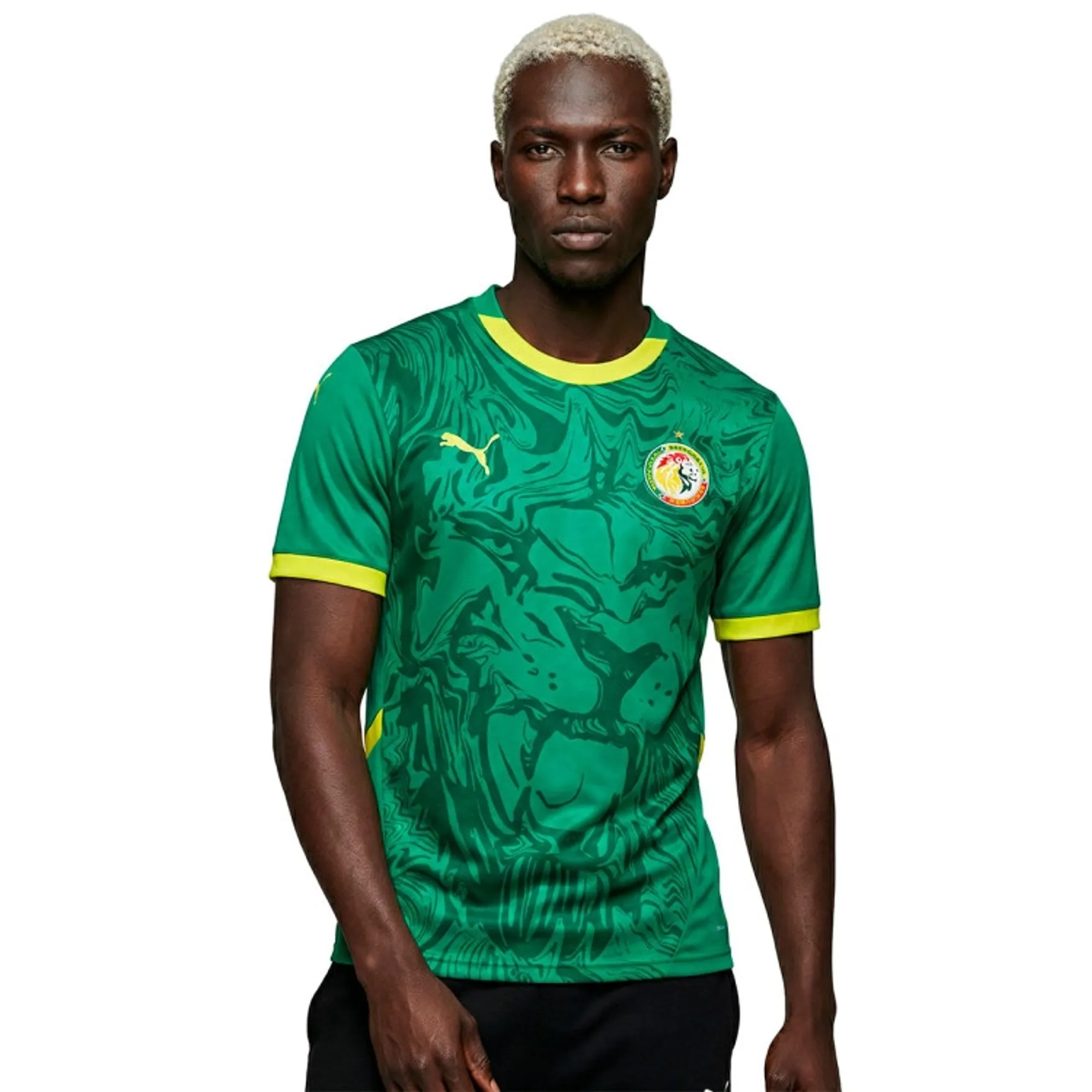 PUMA Senegal Away Jersey Men in Green | Size 3XL