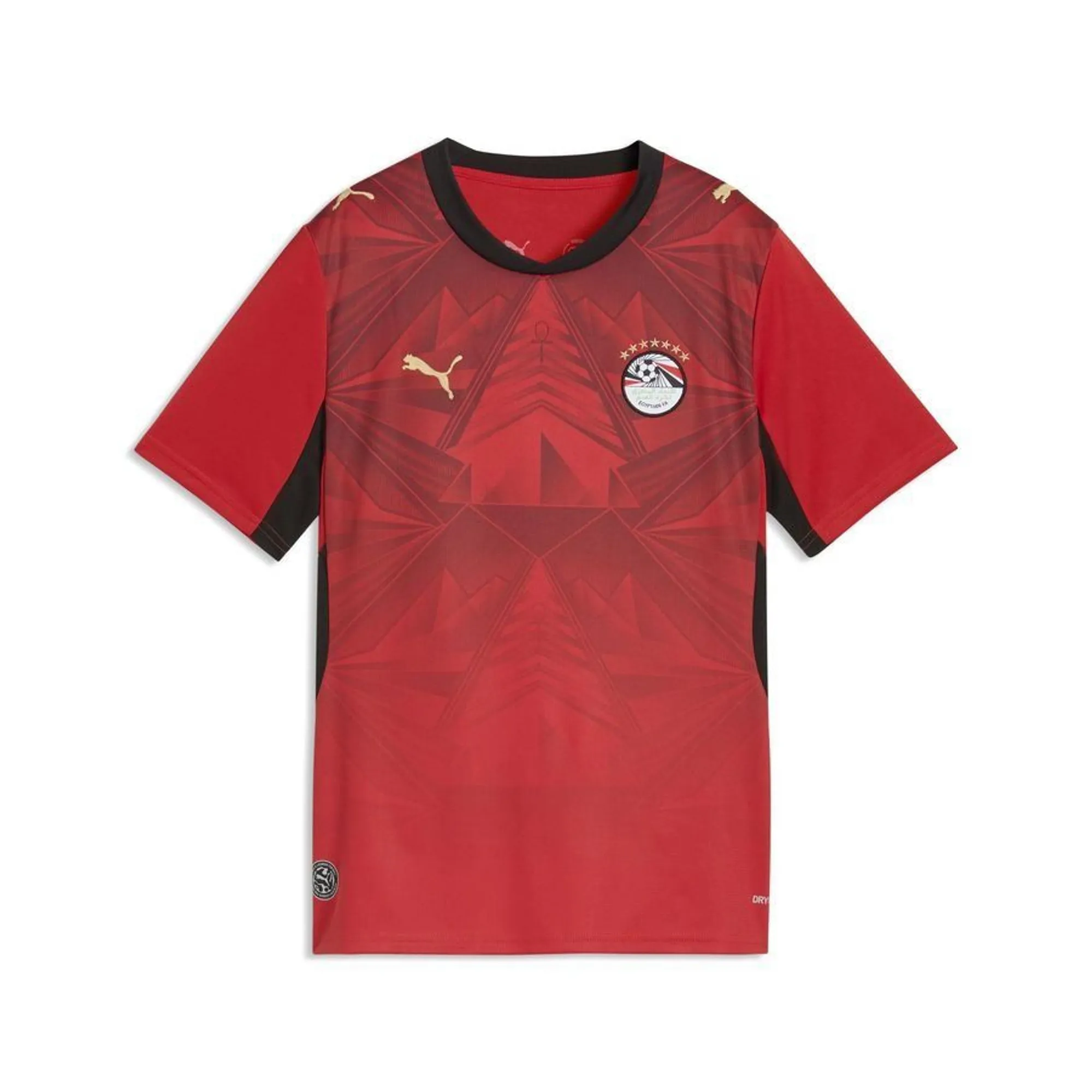PUMA Egypt Home Jersey Youth in Red | Size 11-12 Youth