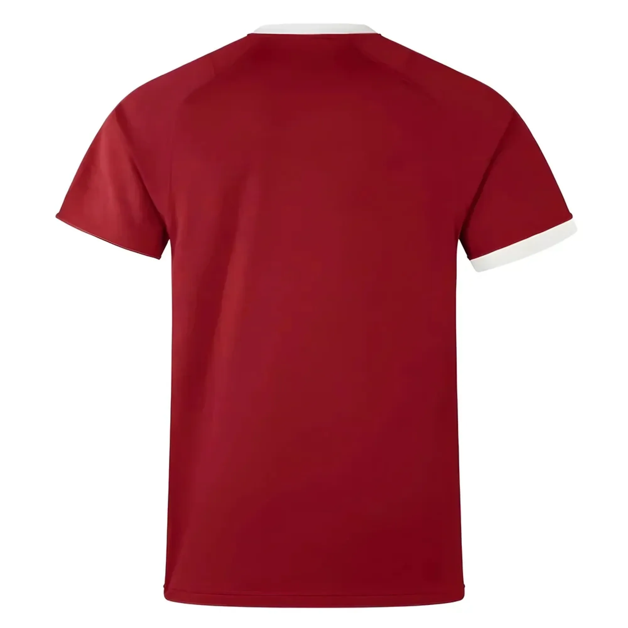 2025 British & Irish Lions Rugby Replica Jersey