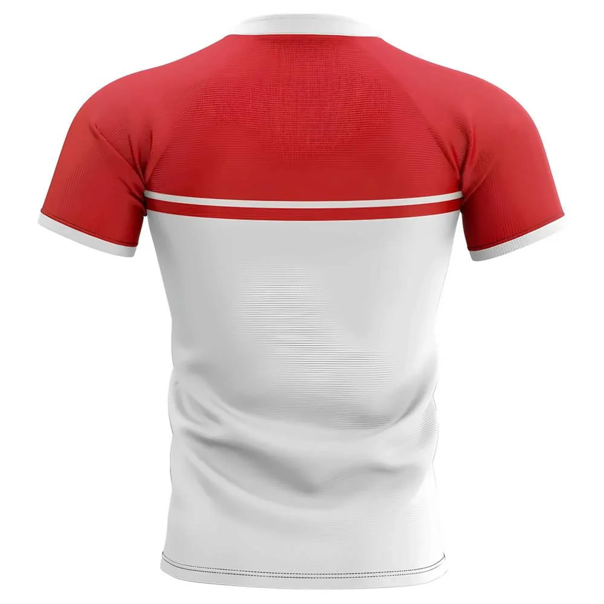 2025-2026 Georgia Training Concept Rugby Shirt