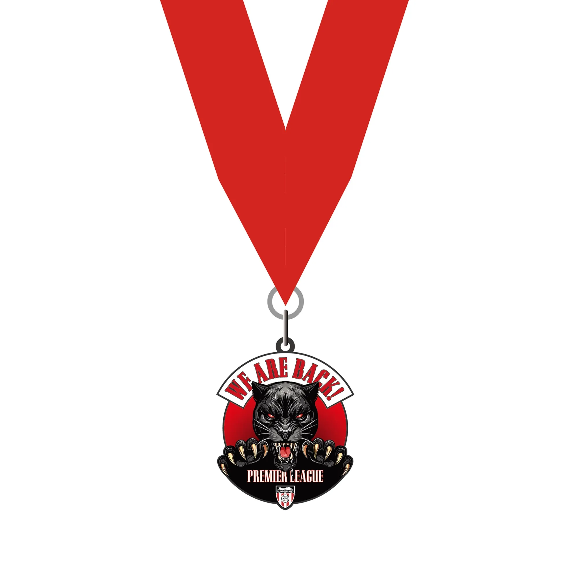 Sunderland Play-Off Winners We Are Back Medal