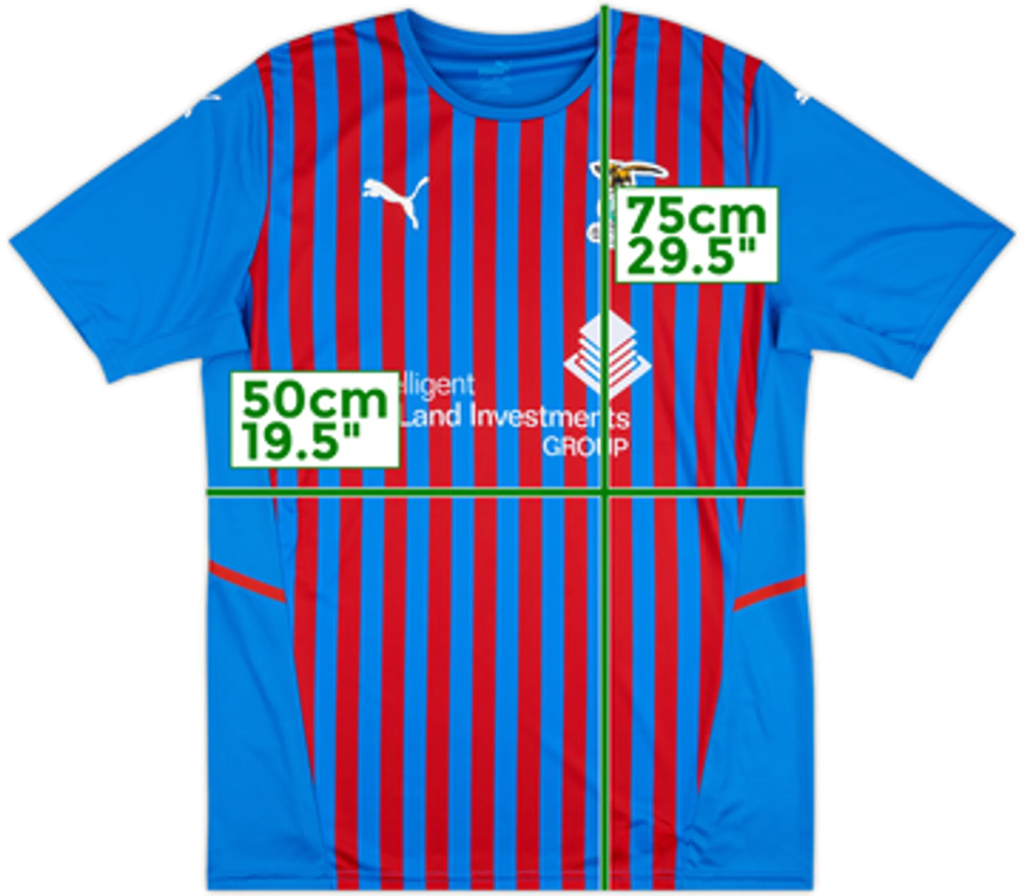 2021-22 Inverness Caledonian Thistle Home Shirt - 10/10 - (L)