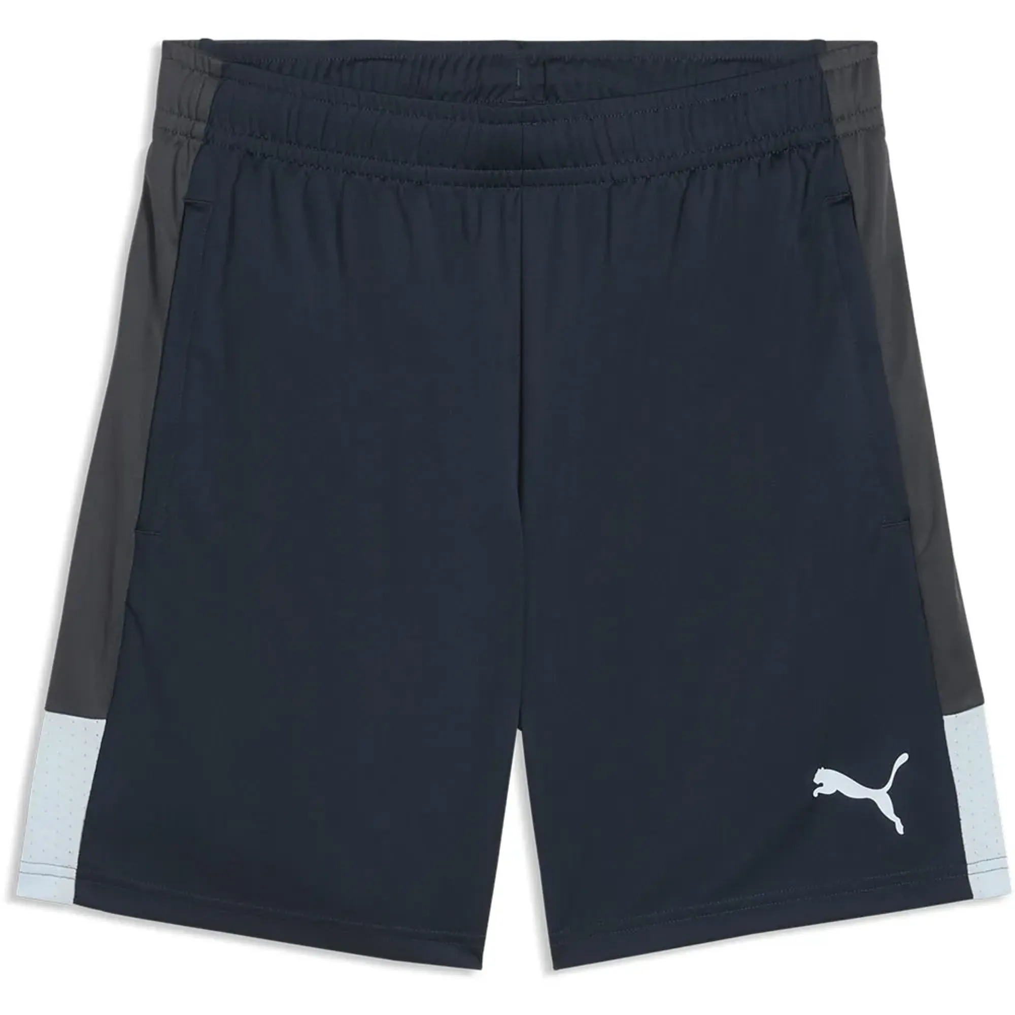 Puma Individualliga Shorts