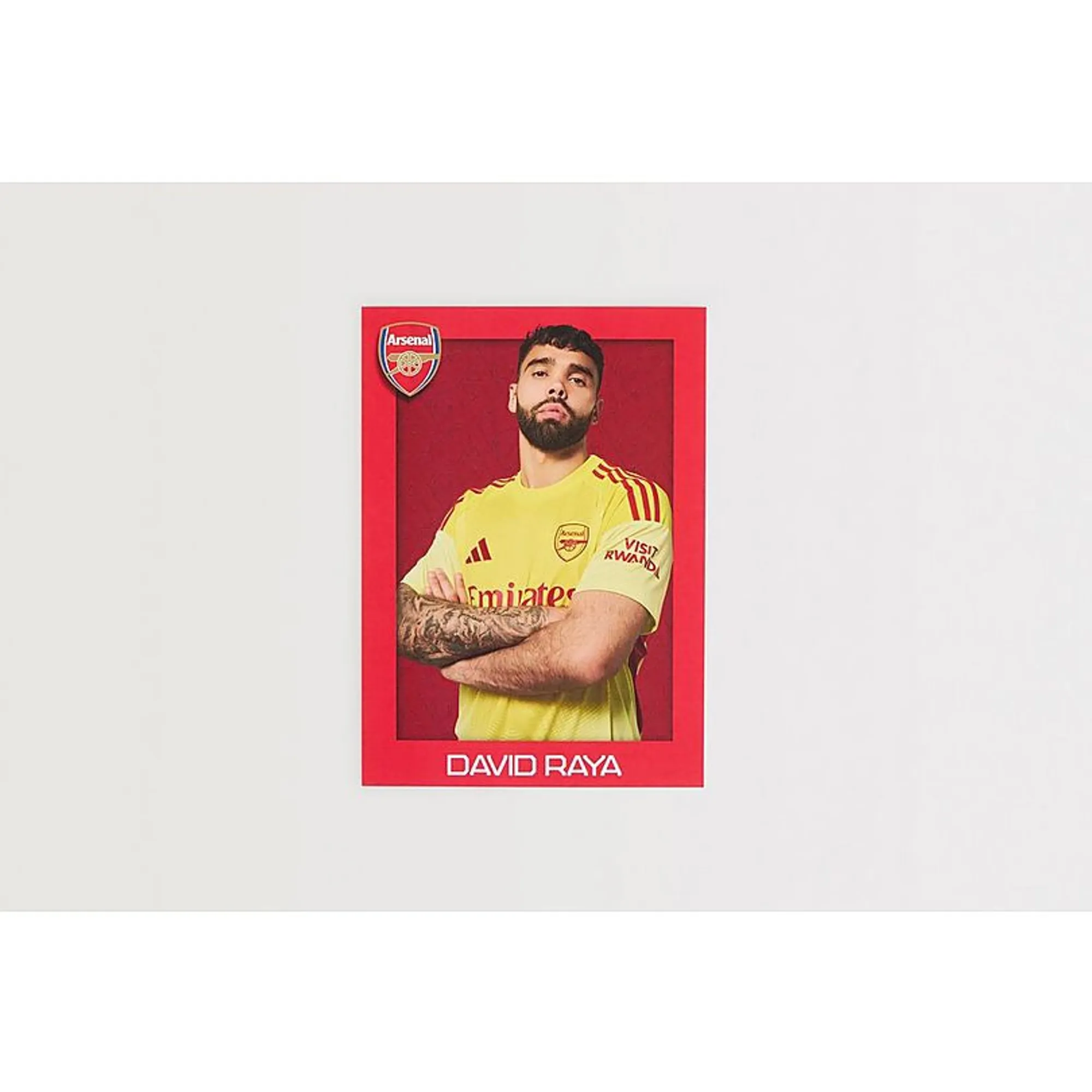 Arsenal David Raya Photo Card, Multicolor