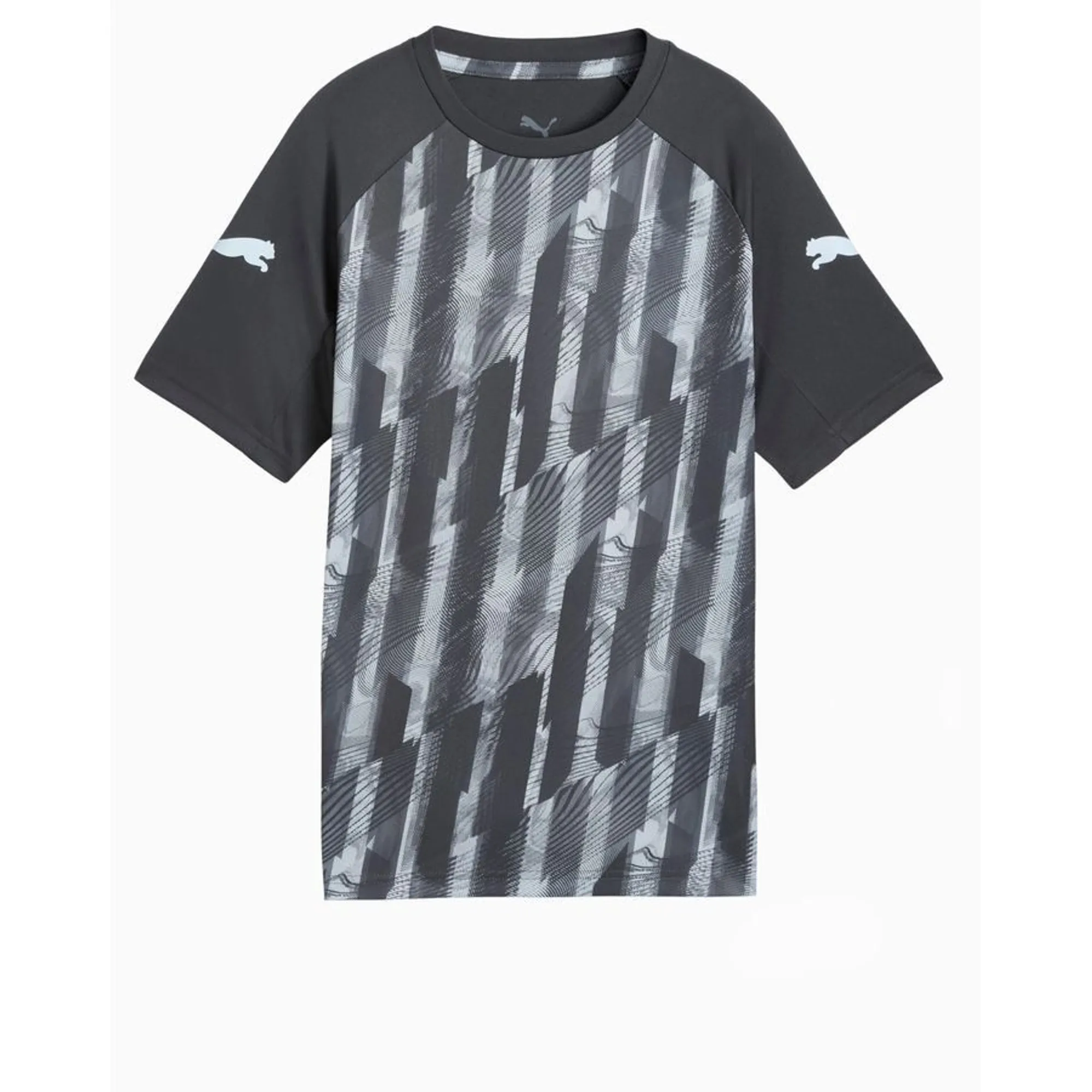Puma Training T-Shirt Individualliga Graphic - ['Grey']