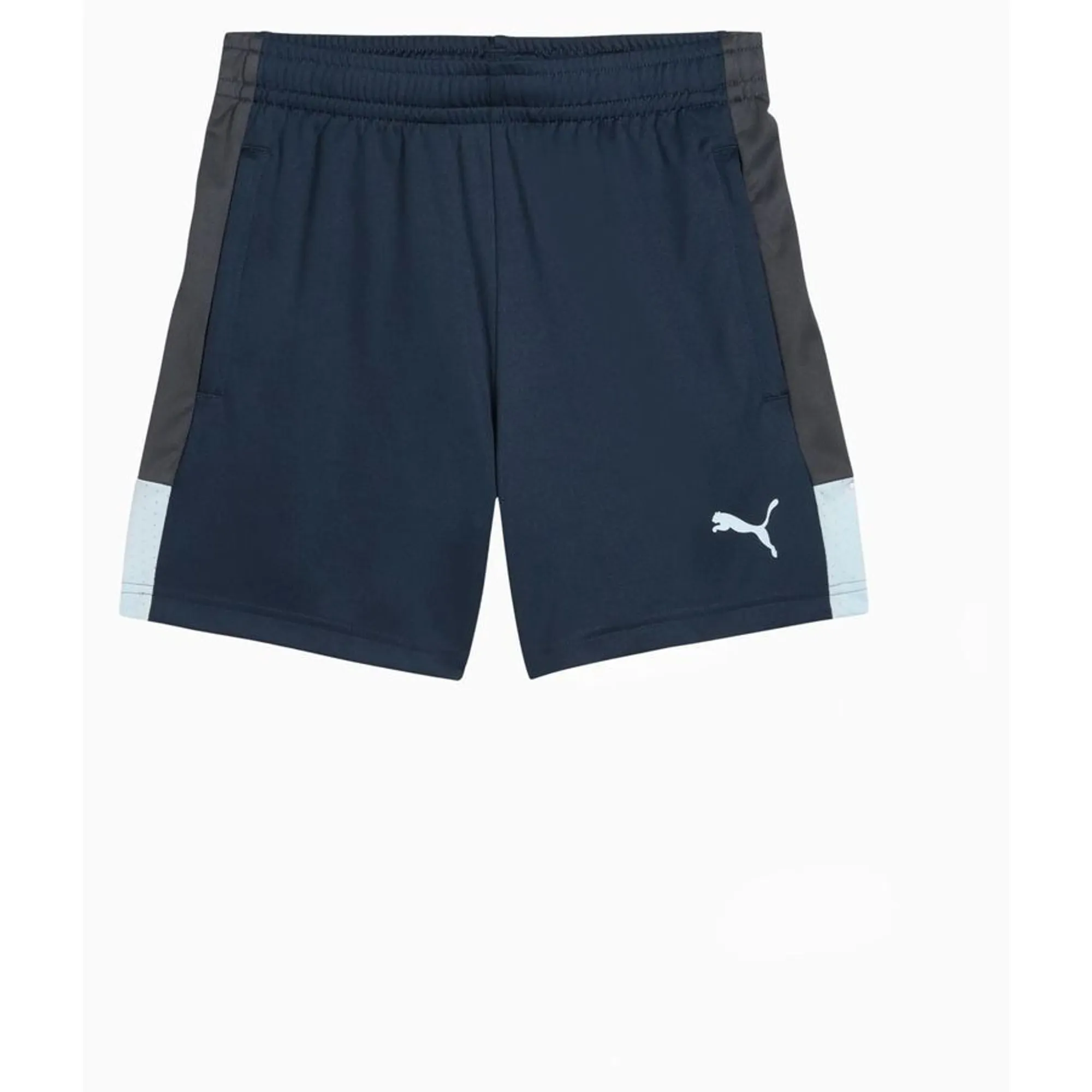Puma Training Shorts Individualliga - ['Grey']