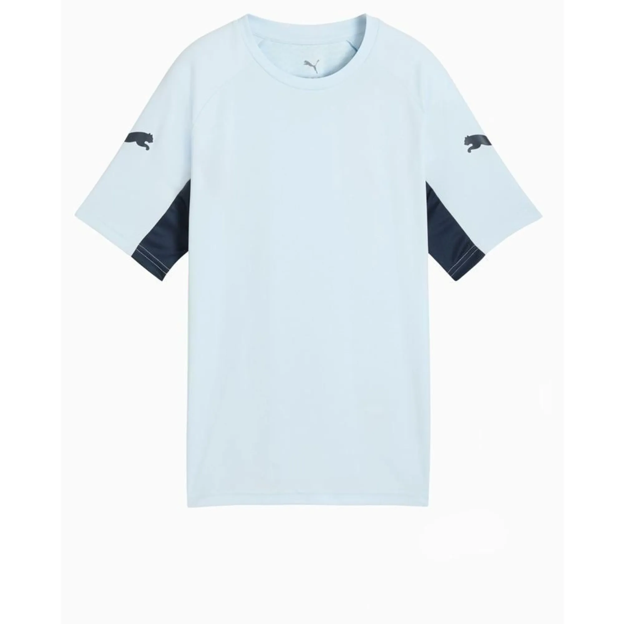 Puma Training T-Shirt Individualliga - ['Blue']