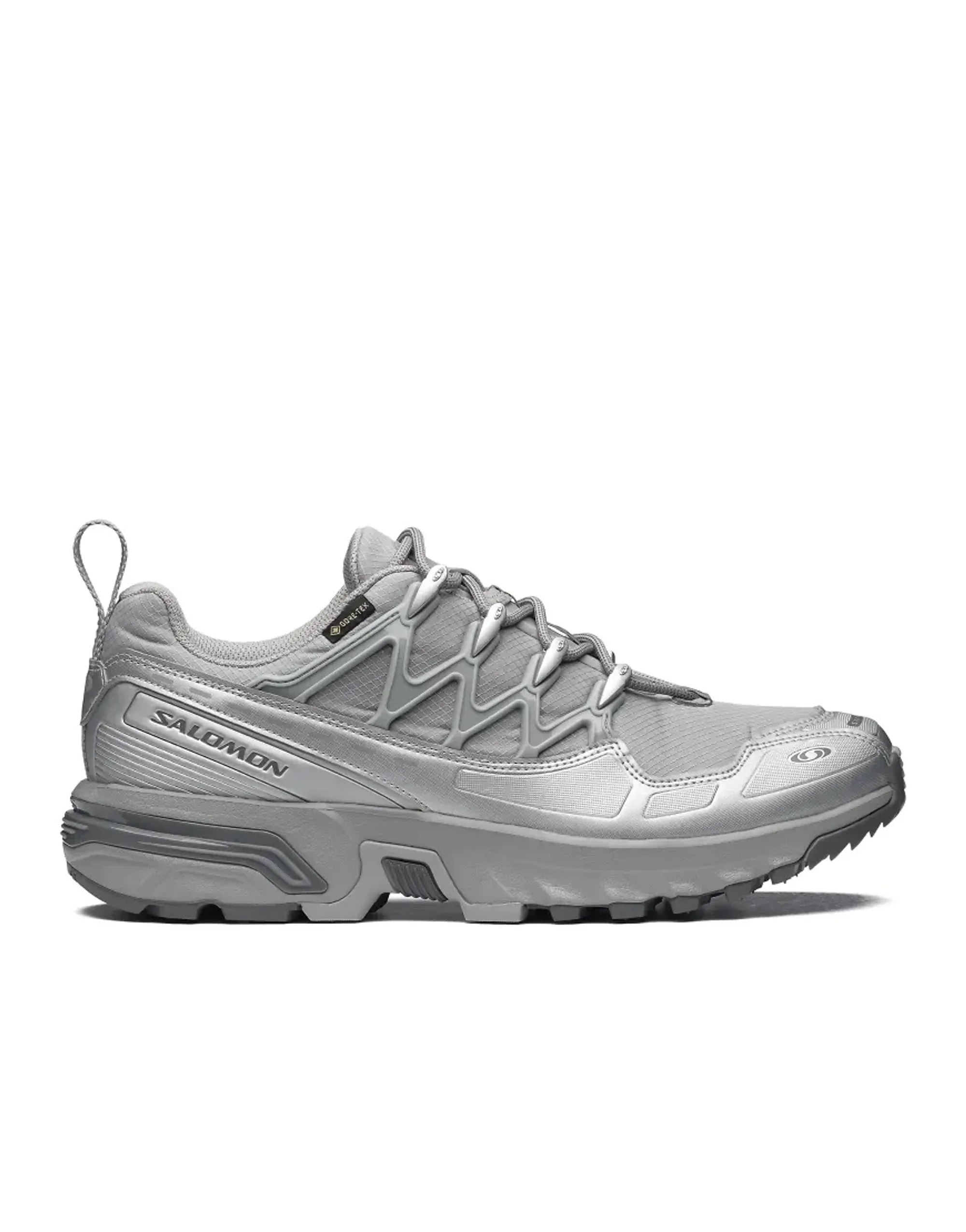 Salomon ACS+ GTX