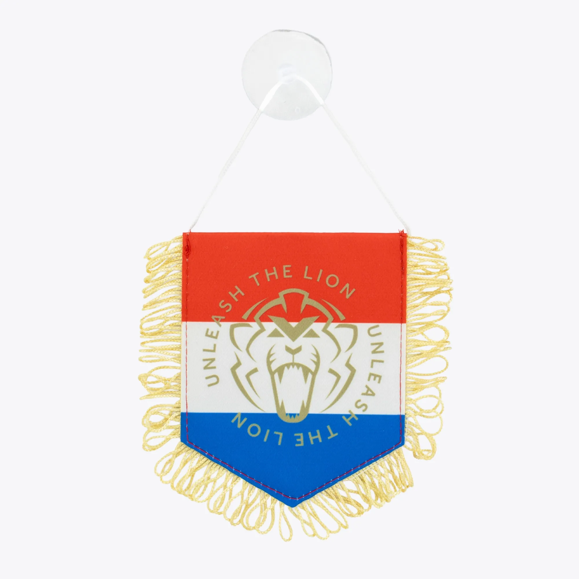 Unleash the Lion Pennant