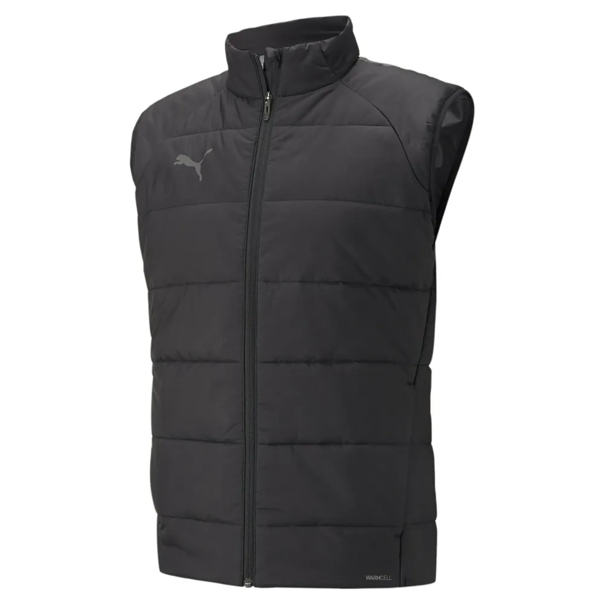 Puma Teamliga Vest