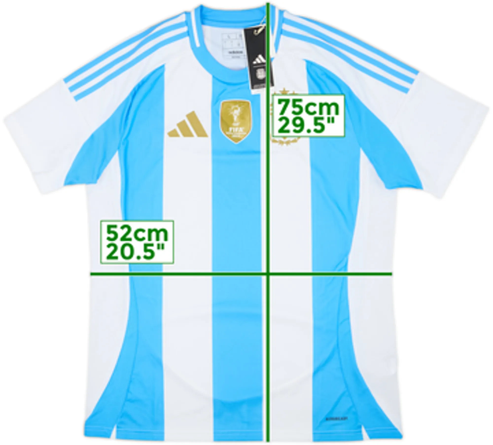 2024-25 Argentina Home Shirt - 10/10 - (L)