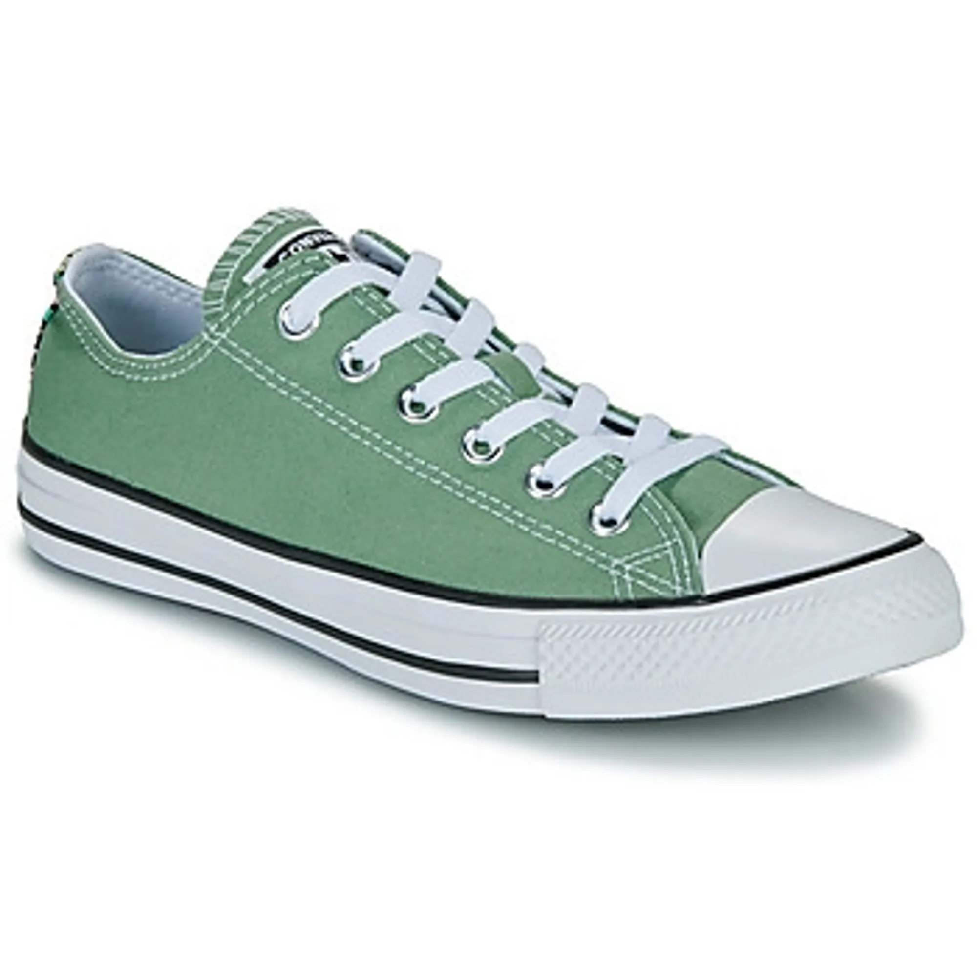 Converse  CHUCK TAYLOR ALL STAR MINI FLOWERS  women's Shoes (Trainers) in Green