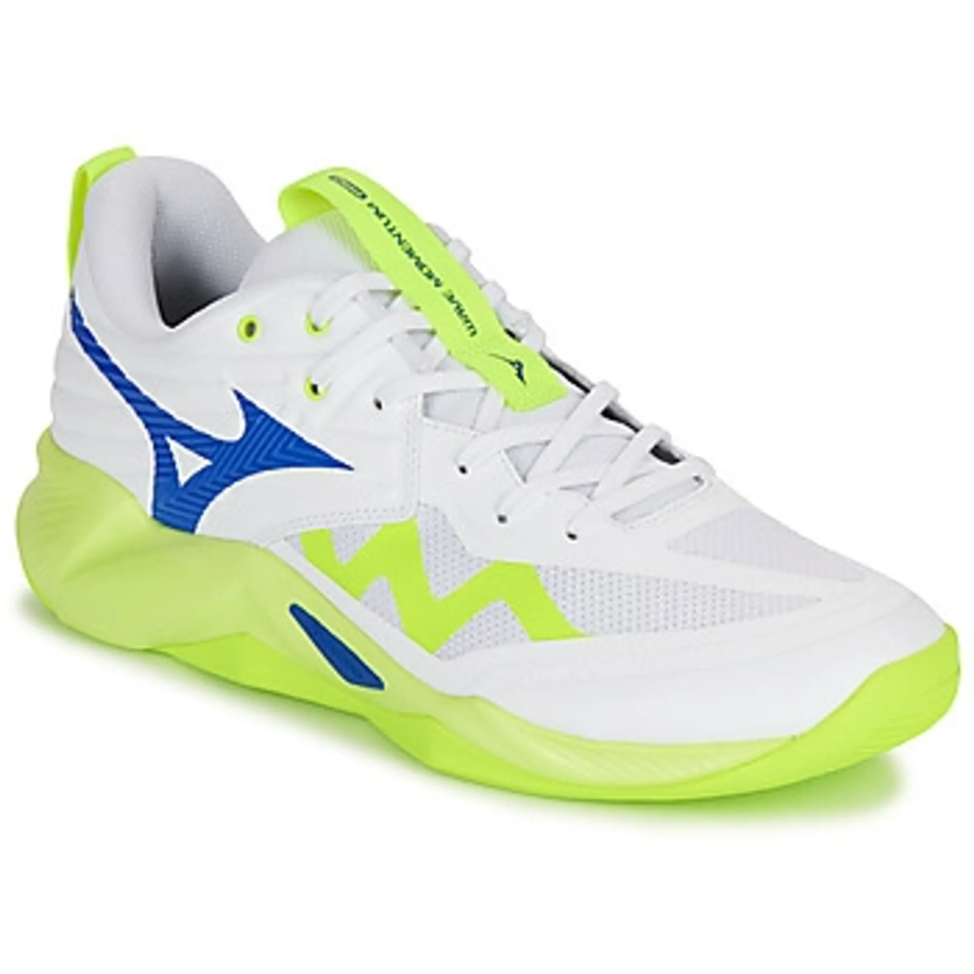Mizuno  WAVE MOMENTUM PRO  women's Indoor Sports Trainers (Shoes) in White
