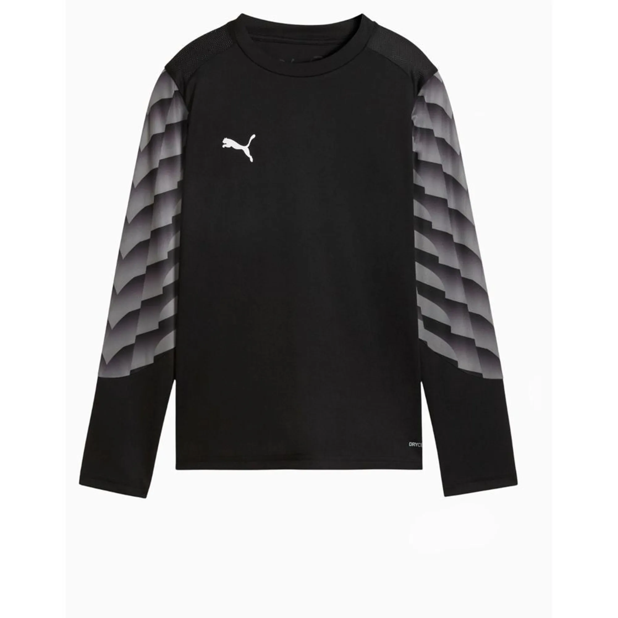 T-Shirt Puma Teamliga 26 Gk - ['Black']