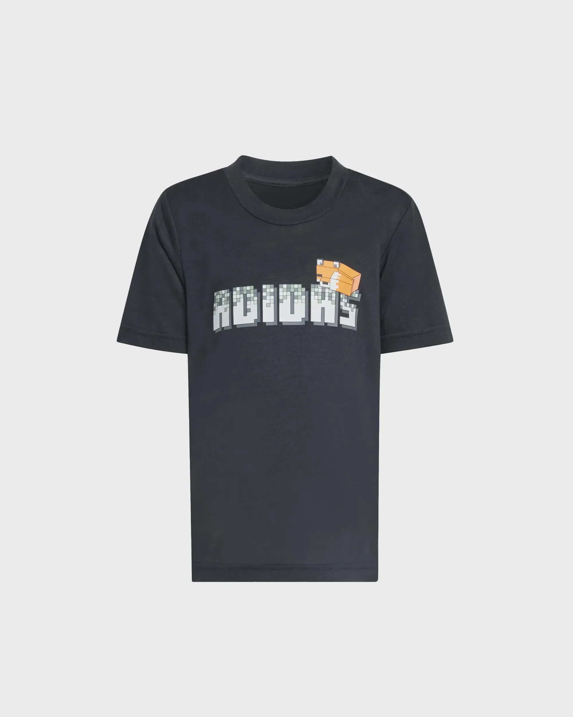 MINECRAFT TRAINING Tee